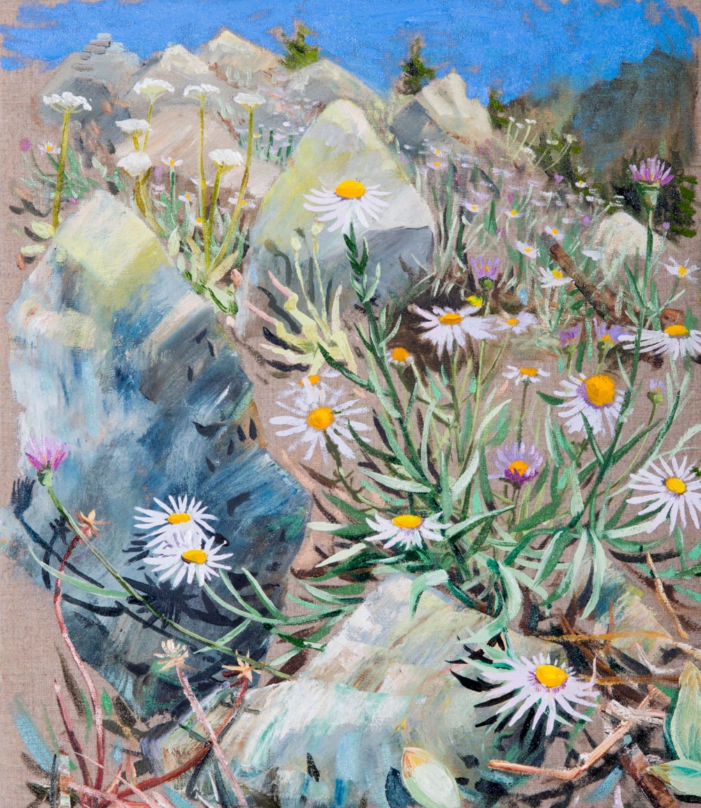 Russell - Alpine Aster