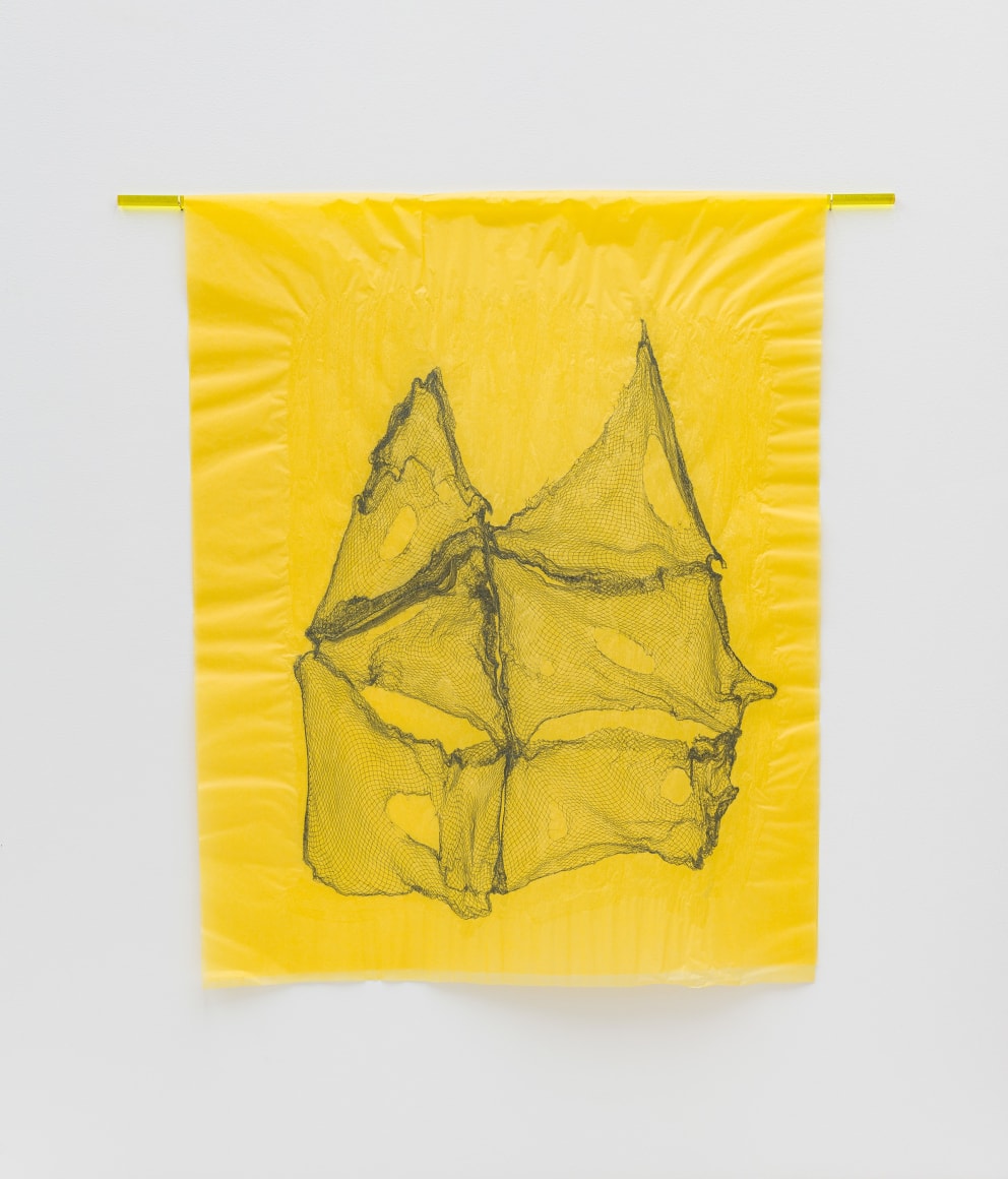 Lisa Jarrett  Migration Studies (No. 19, Janie&rsquo;s first dream II; After Zora Neale Hurston), 2021