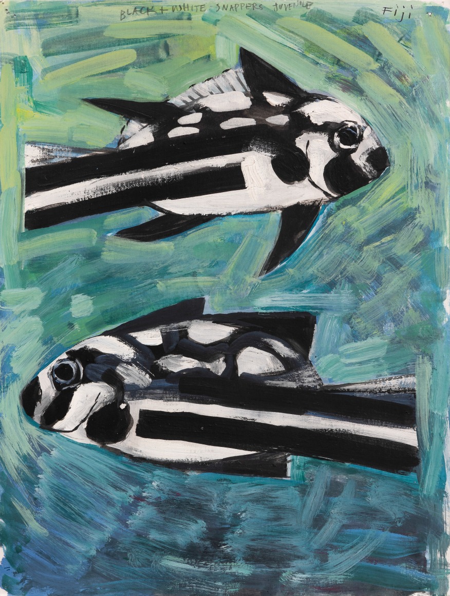 Lucinda Parker (b. 1942)  Black &amp; White Juvenile Snappers, 2005&ndash;06