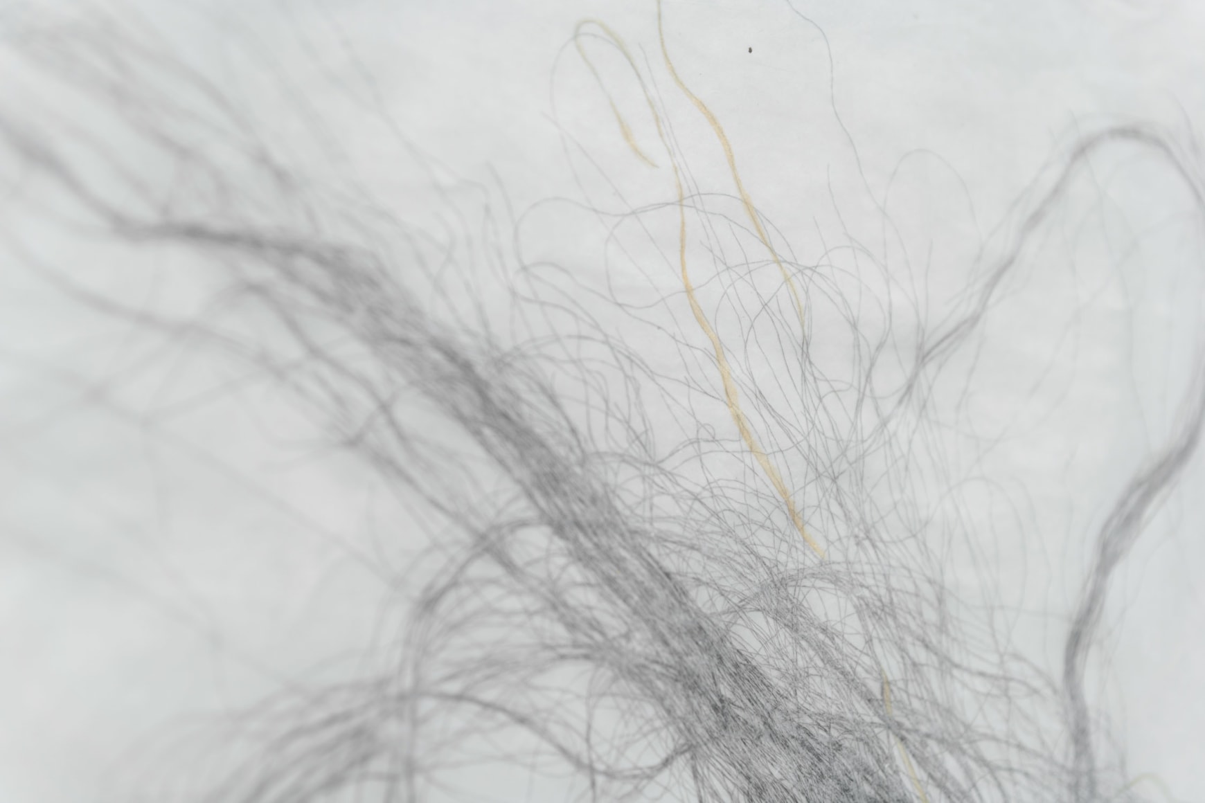 Lisa Jarrett - Heart Condition - Russo Lee Gallery - Installation View 033