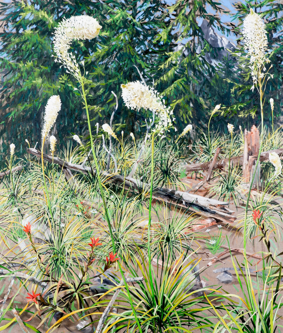 Russell - Subalpine Time to Shine