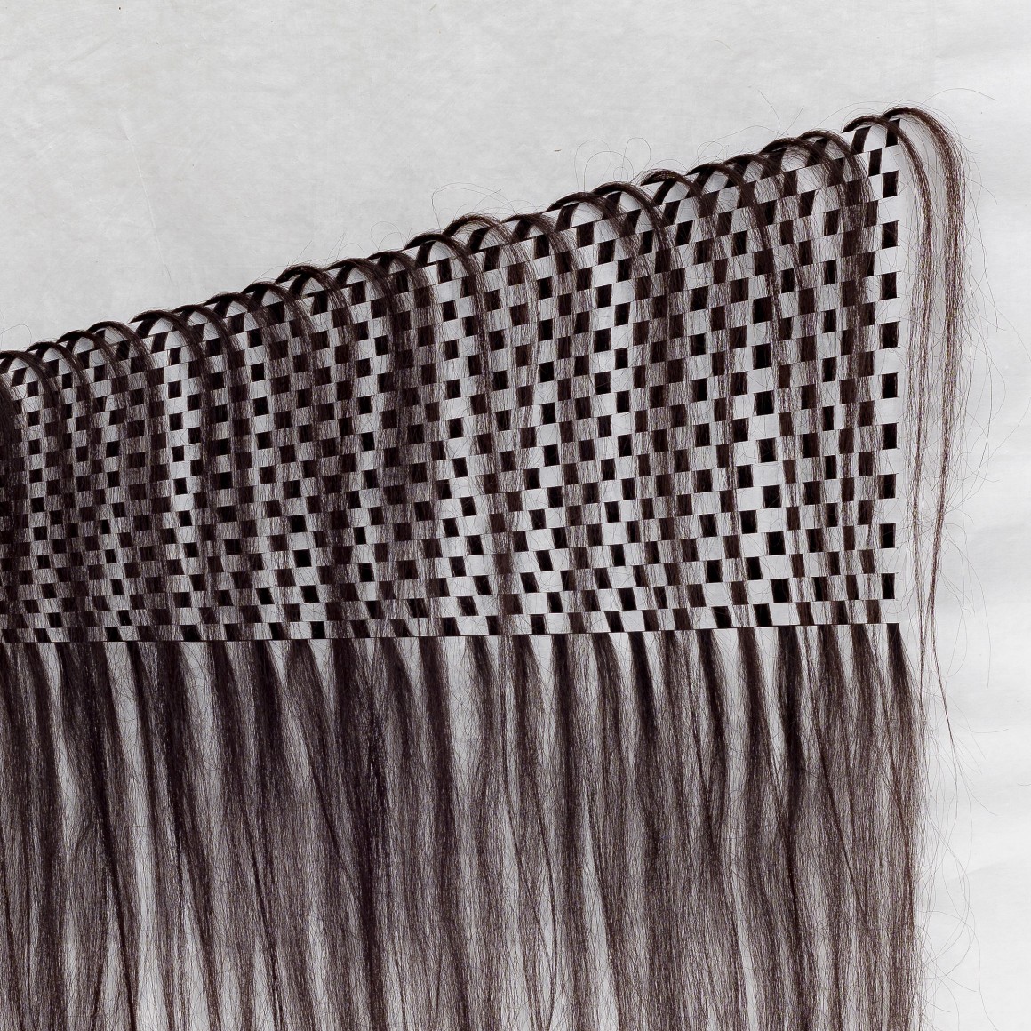 Migration Studies (No. 21, Tenderheaded) DETAIL