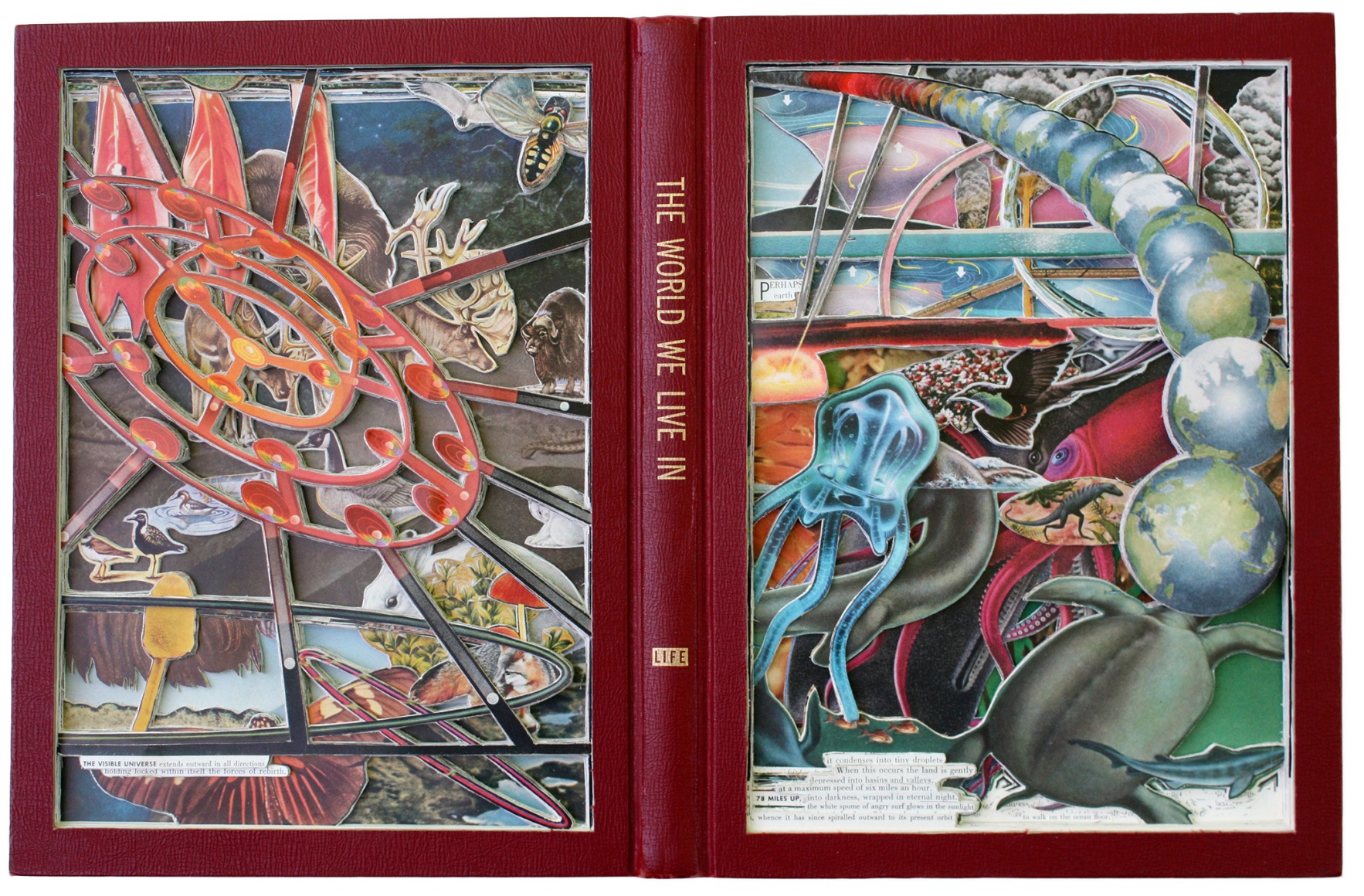 Allen - The World We Live In