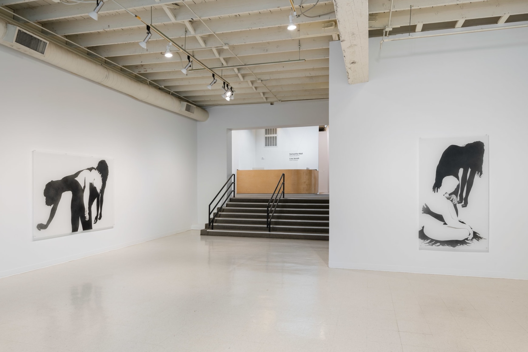 Samantha Wall - Beyond Bloodlines - Russo Lee Gallery - Installation View 017