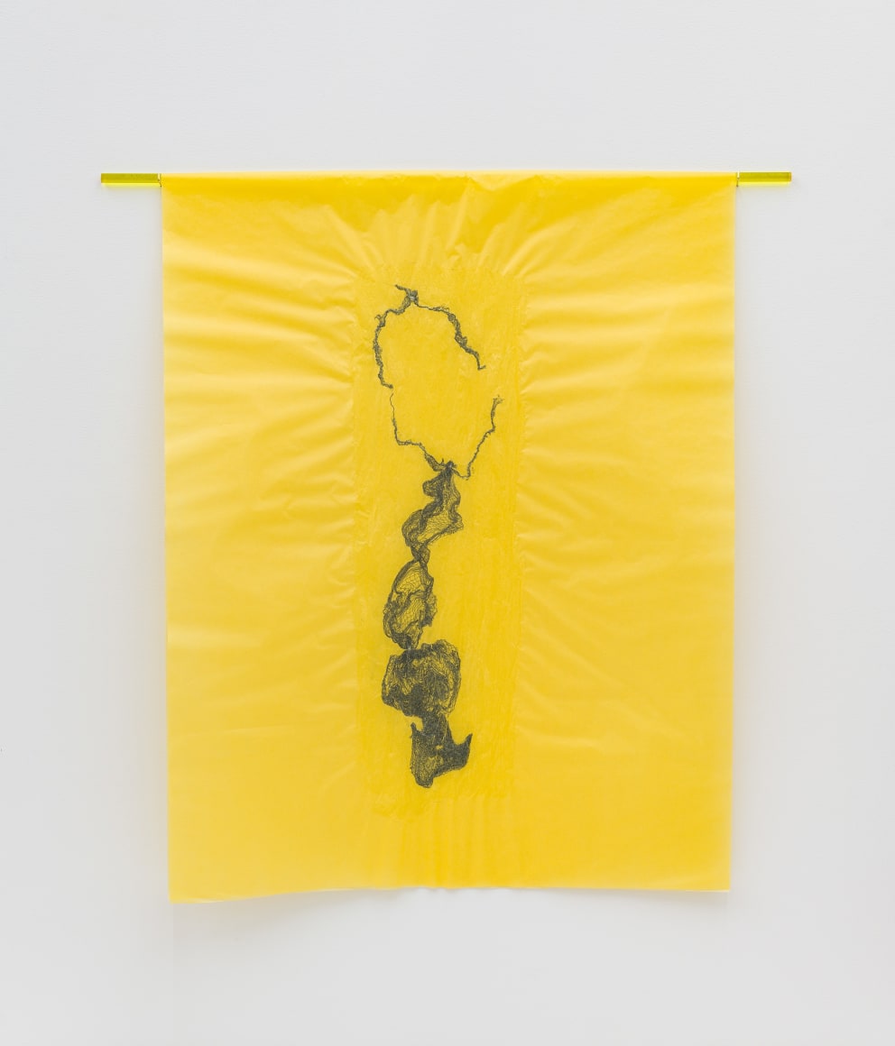 Lisa Jarrett  Migration Studies (No. 20, Janie&rsquo;s first dream III; After Zora Neale Hurston), 2021