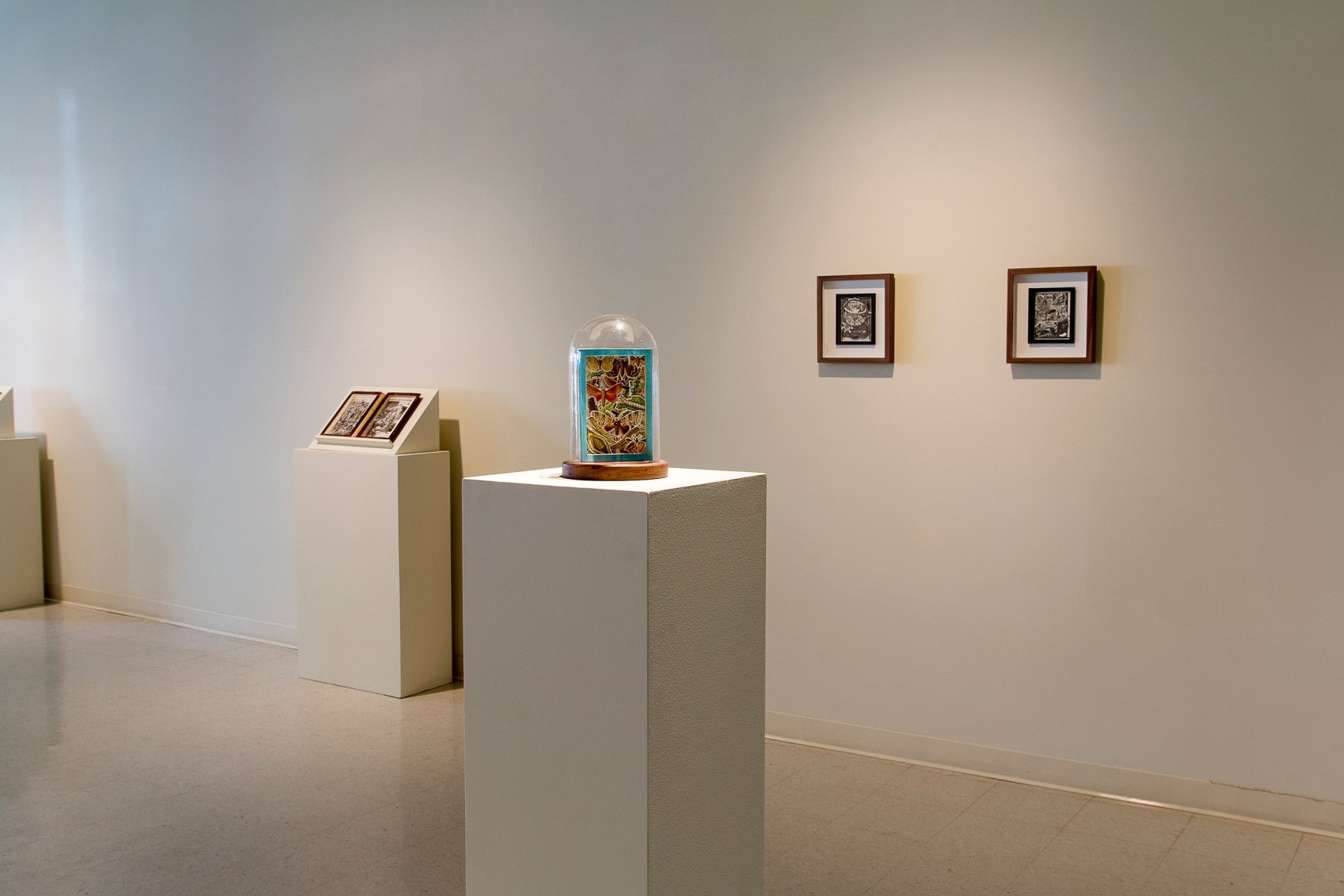 James Allen at Laura Russo Gallery October 2015