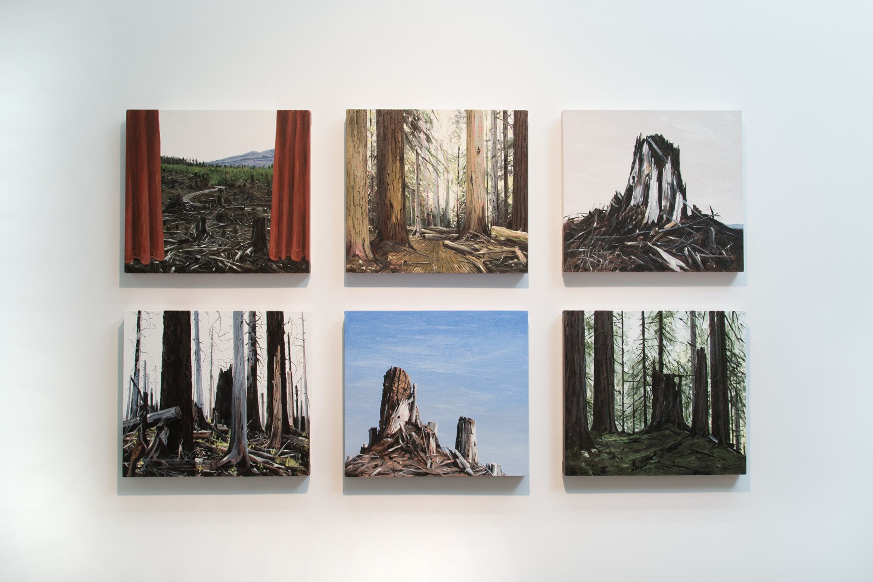 Michael Brophy Installation June 2016