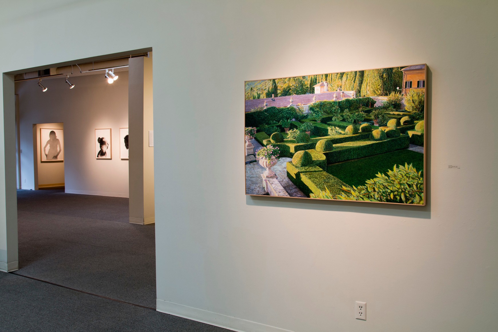 Tom Fawkes at Laura Russo Gallery December 2014