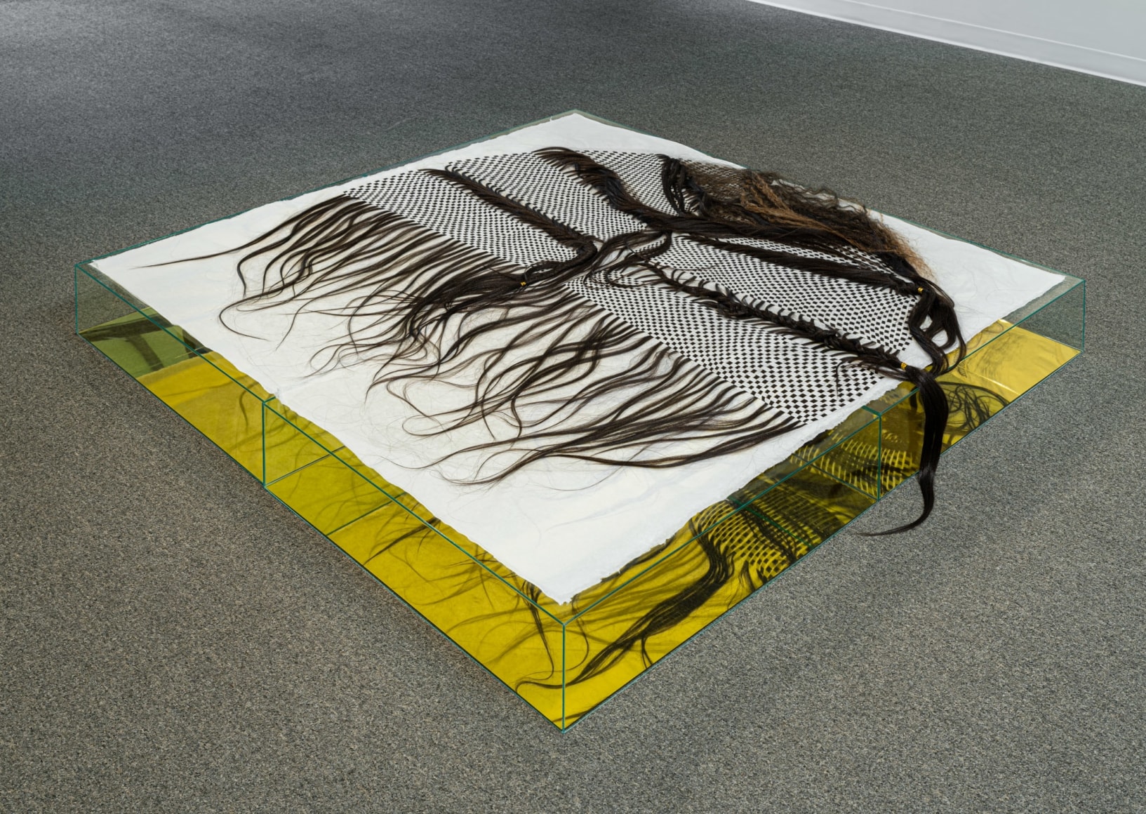 Lisa Jarrett - Heart Condition - Russo Lee Gallery - Installation View 020