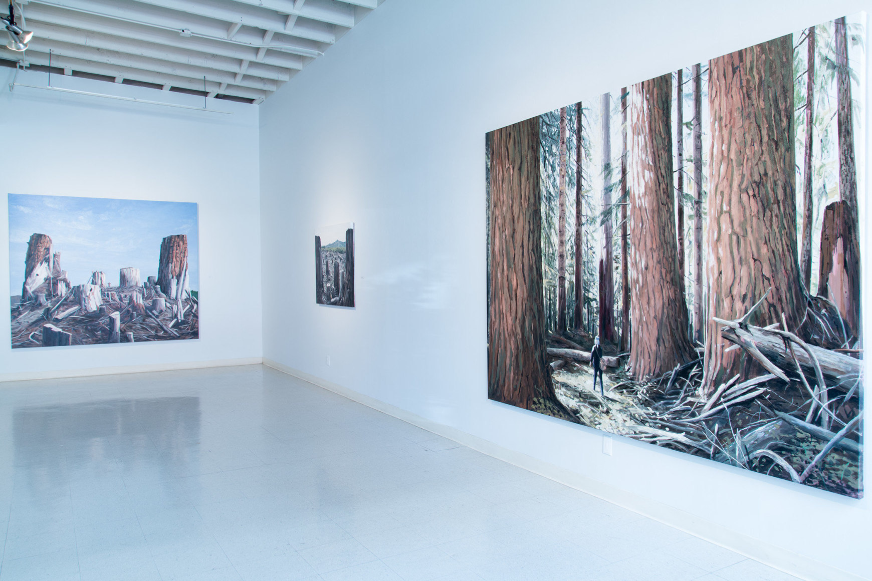 Michael Brophy Installation June 2016