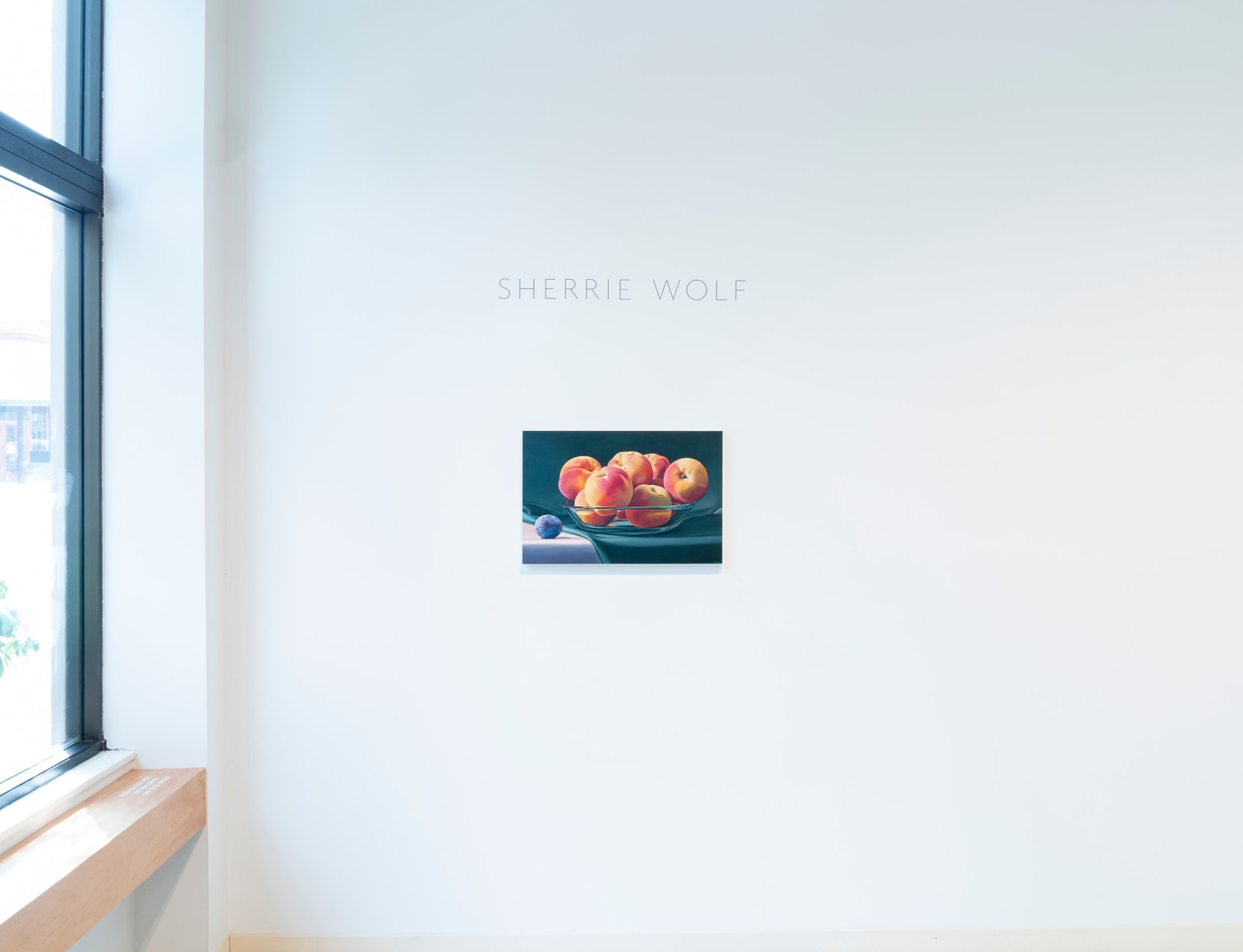 Sherrie Wolf | Juxtapositions | Installation View | img_04