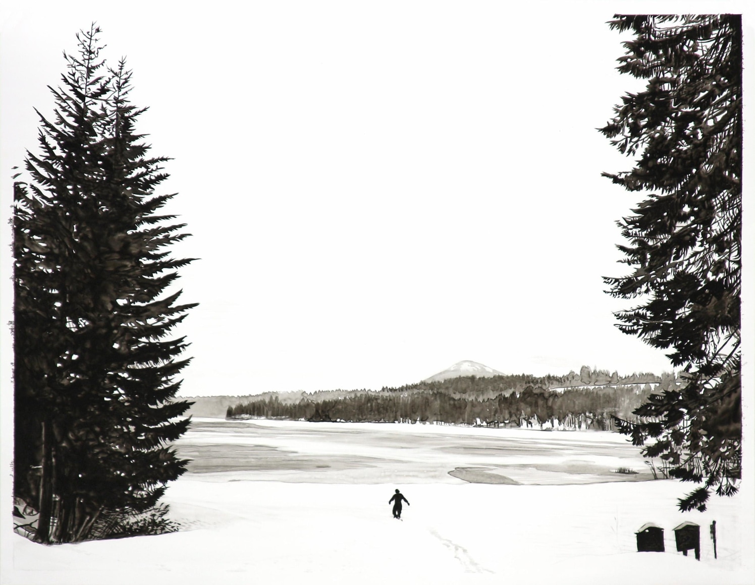 Wolf - Black Butte_Suttle Lake