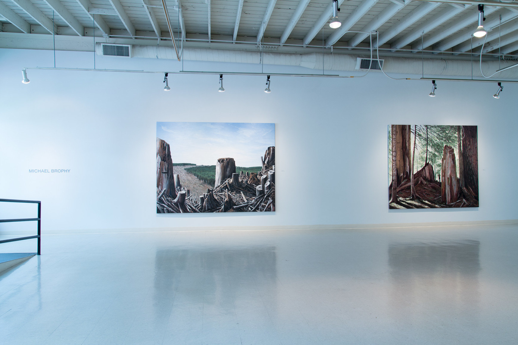 Michael Brophy Installation June 2016