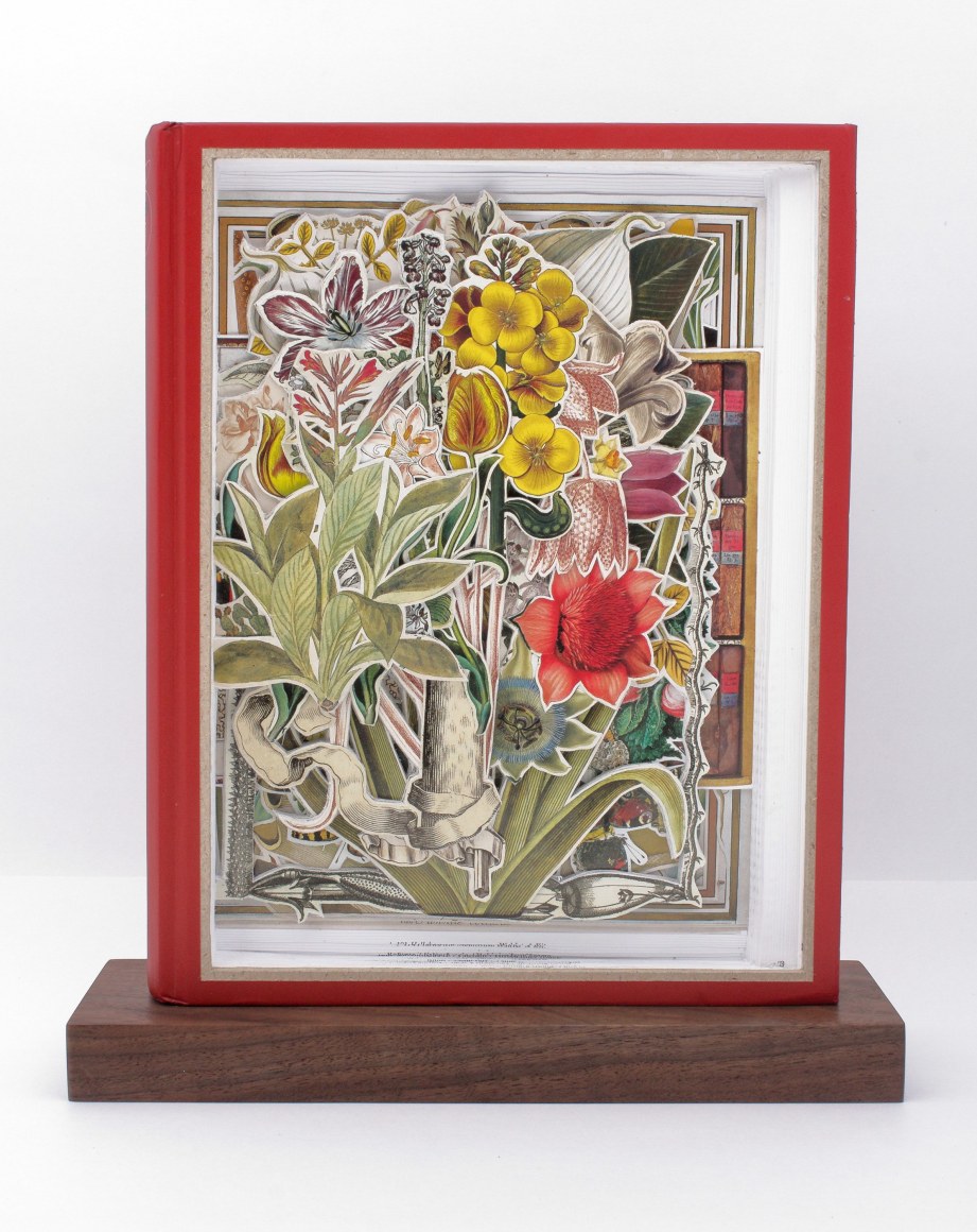 Allen - Garden of Eden