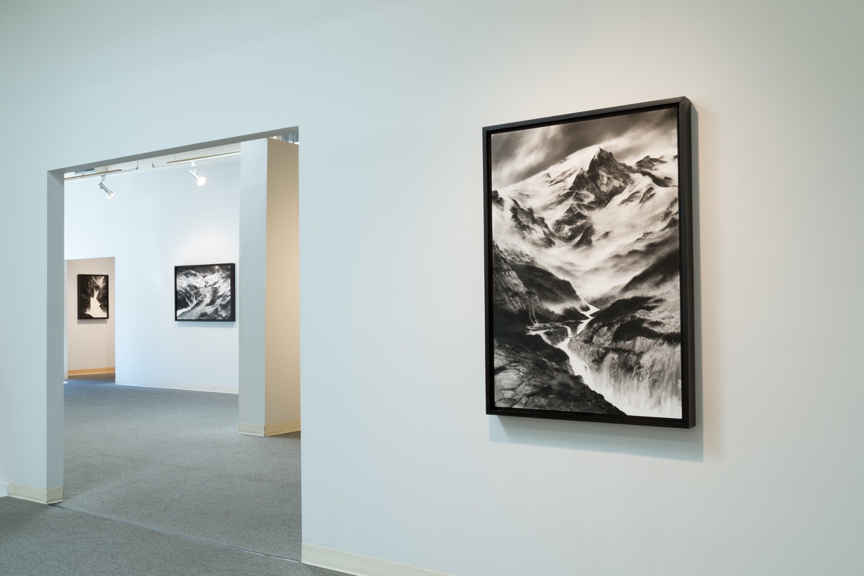 Abbott installation view May 2017