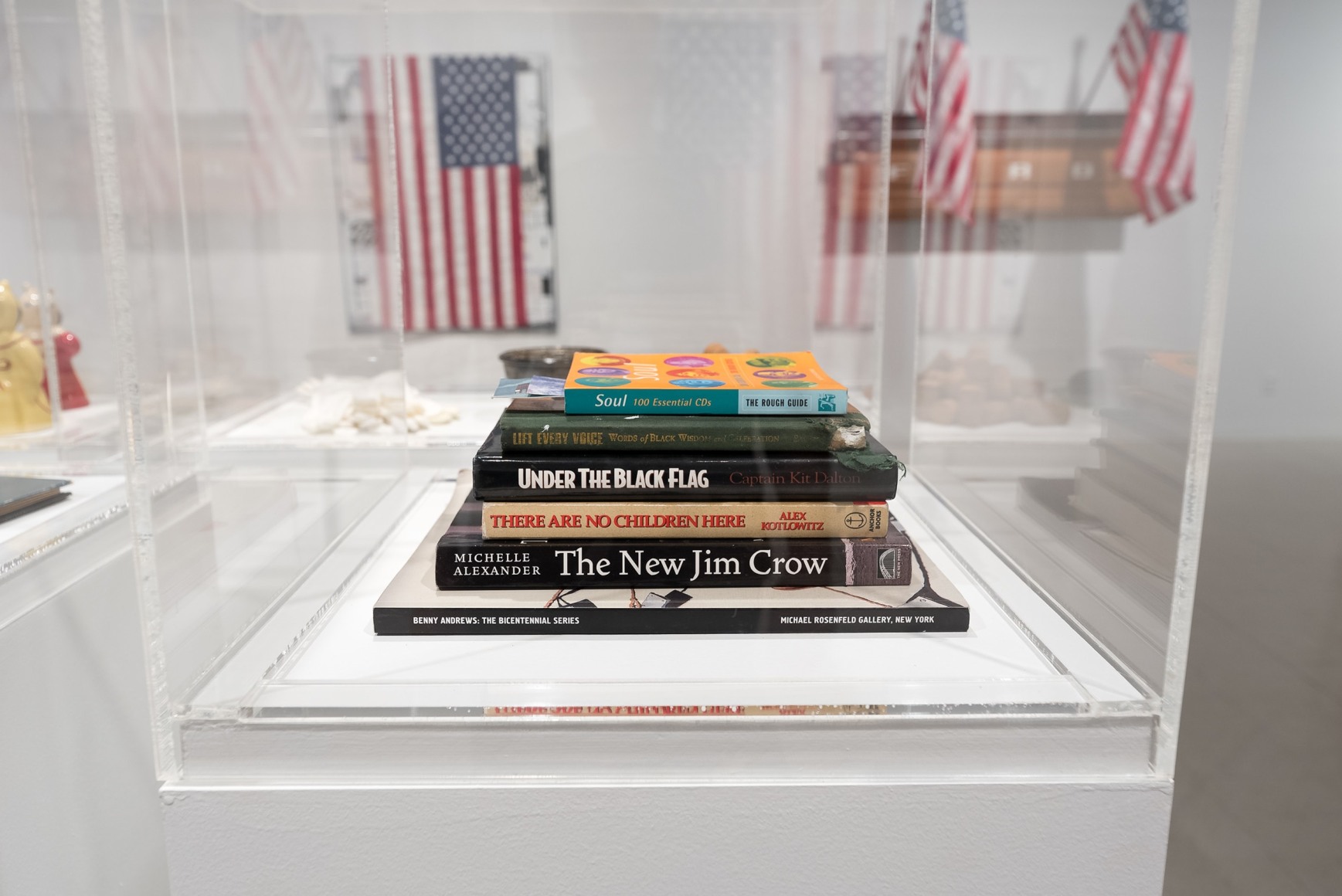 Julian V.L. Gaines - Under the Flag - Russo Lee Gallery - Installation View 010