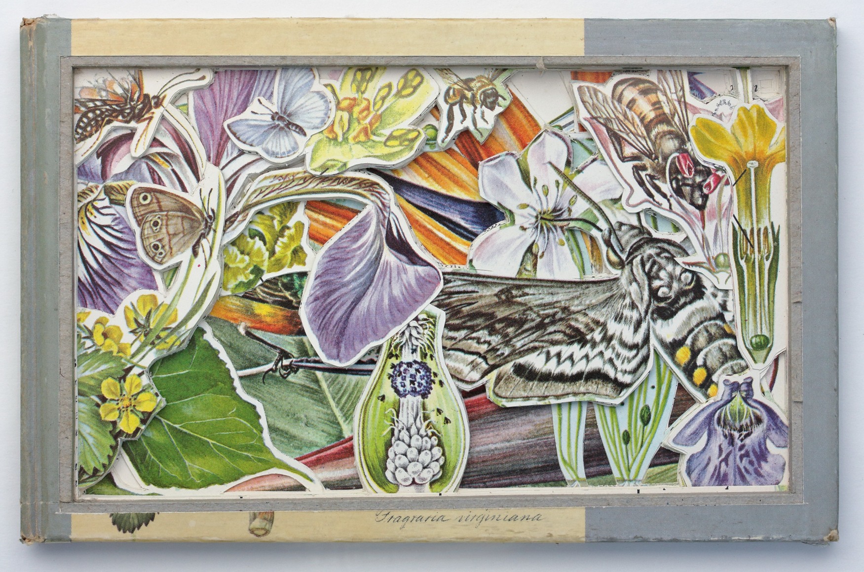 Allen - Secret Life of Flowers