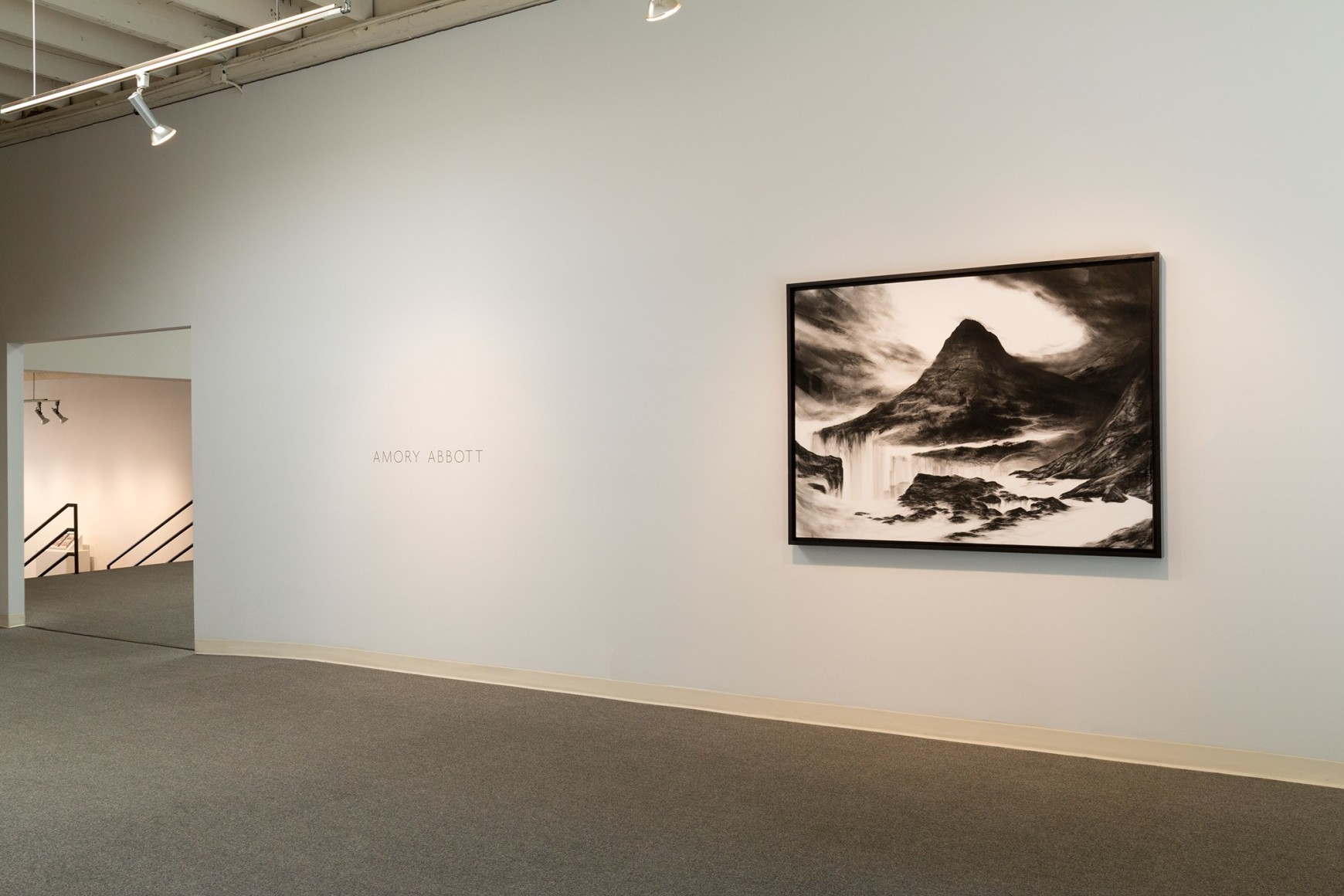 Abbott installation view May 2017