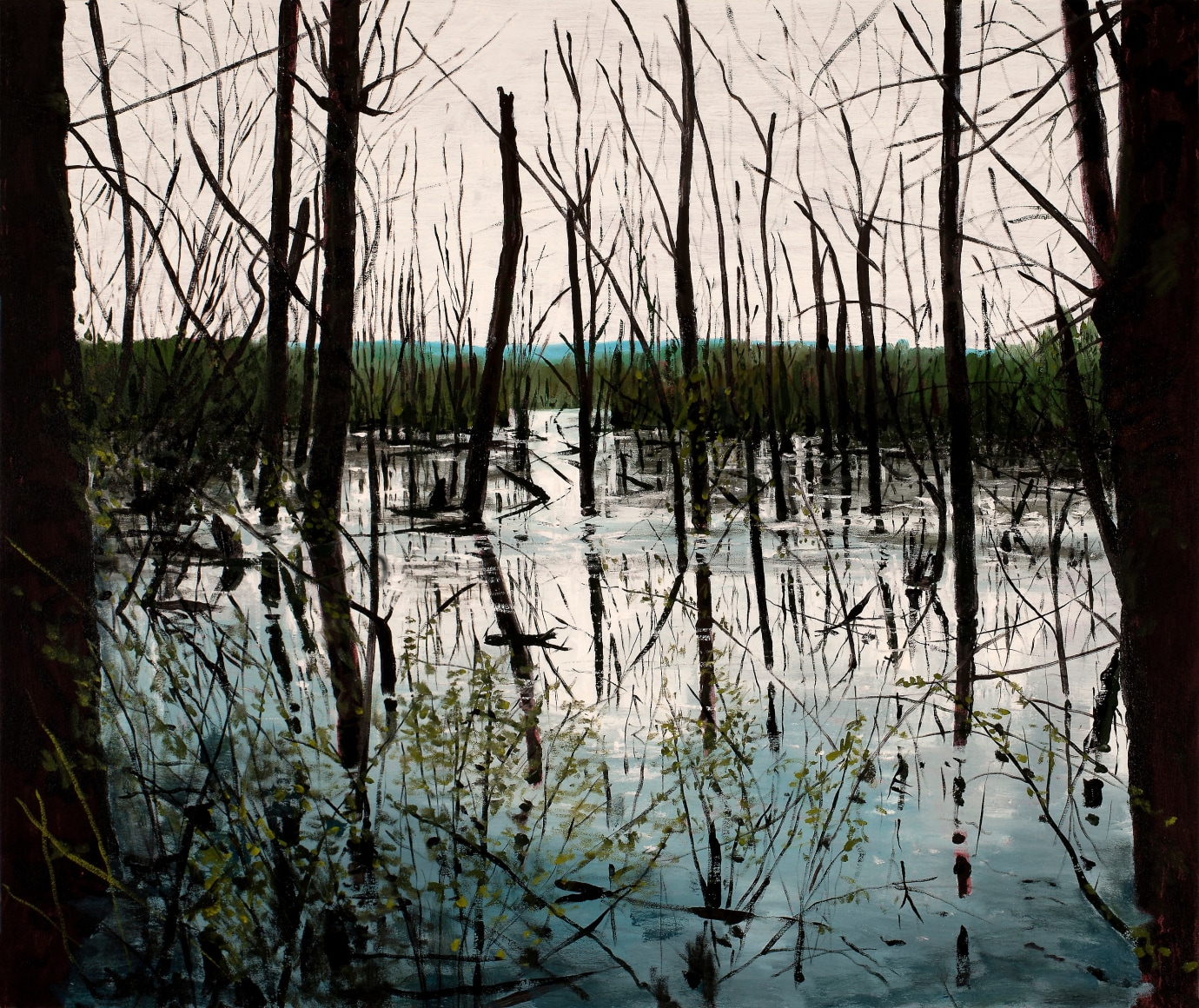 Brophy - Shallow Lake II