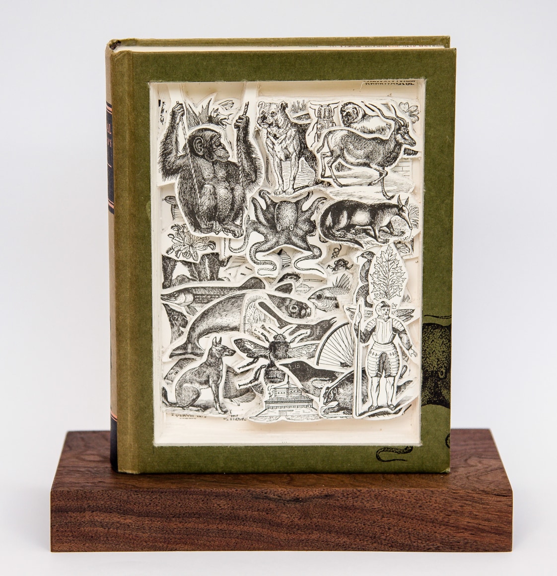 James Allen - Pictorial Websters