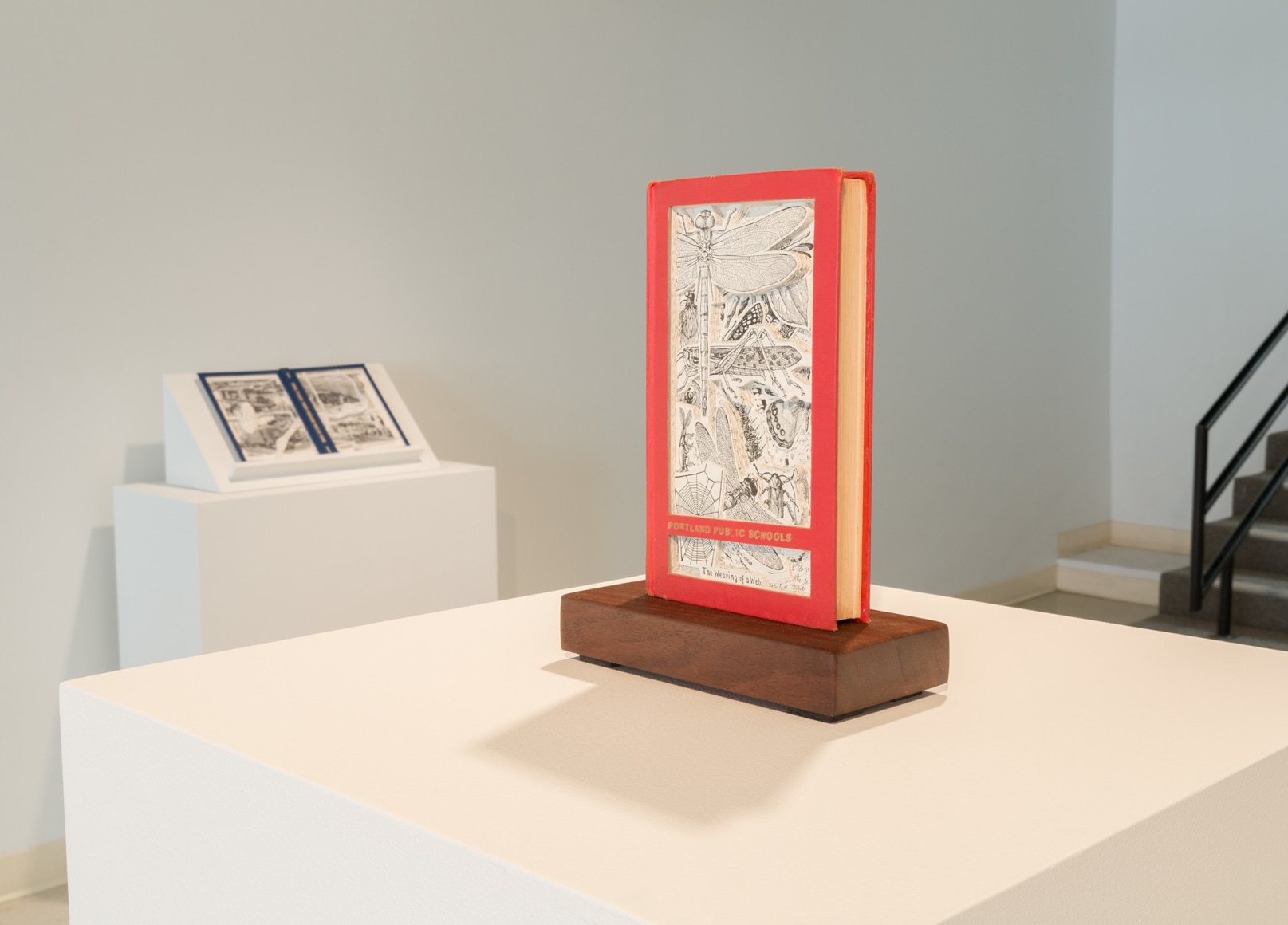 Allen Installation View May 2017