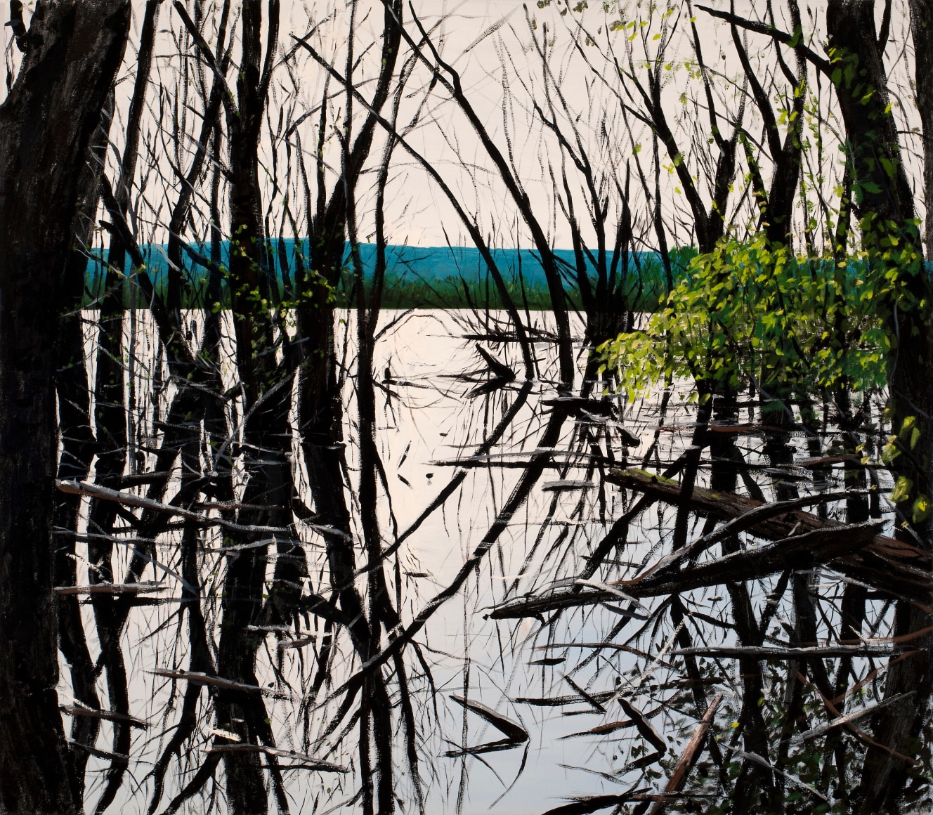 Brophy - Shallow Lake I