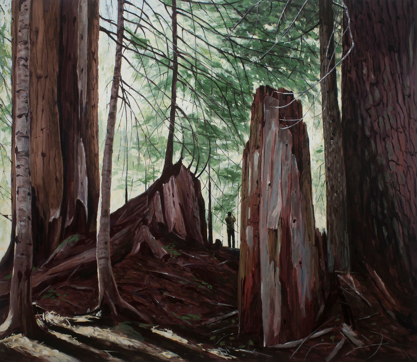 Brophy - Old Growth (The Visitor