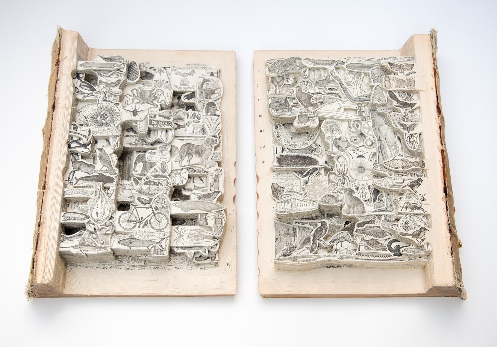 Allen - Merriam Webster 1906