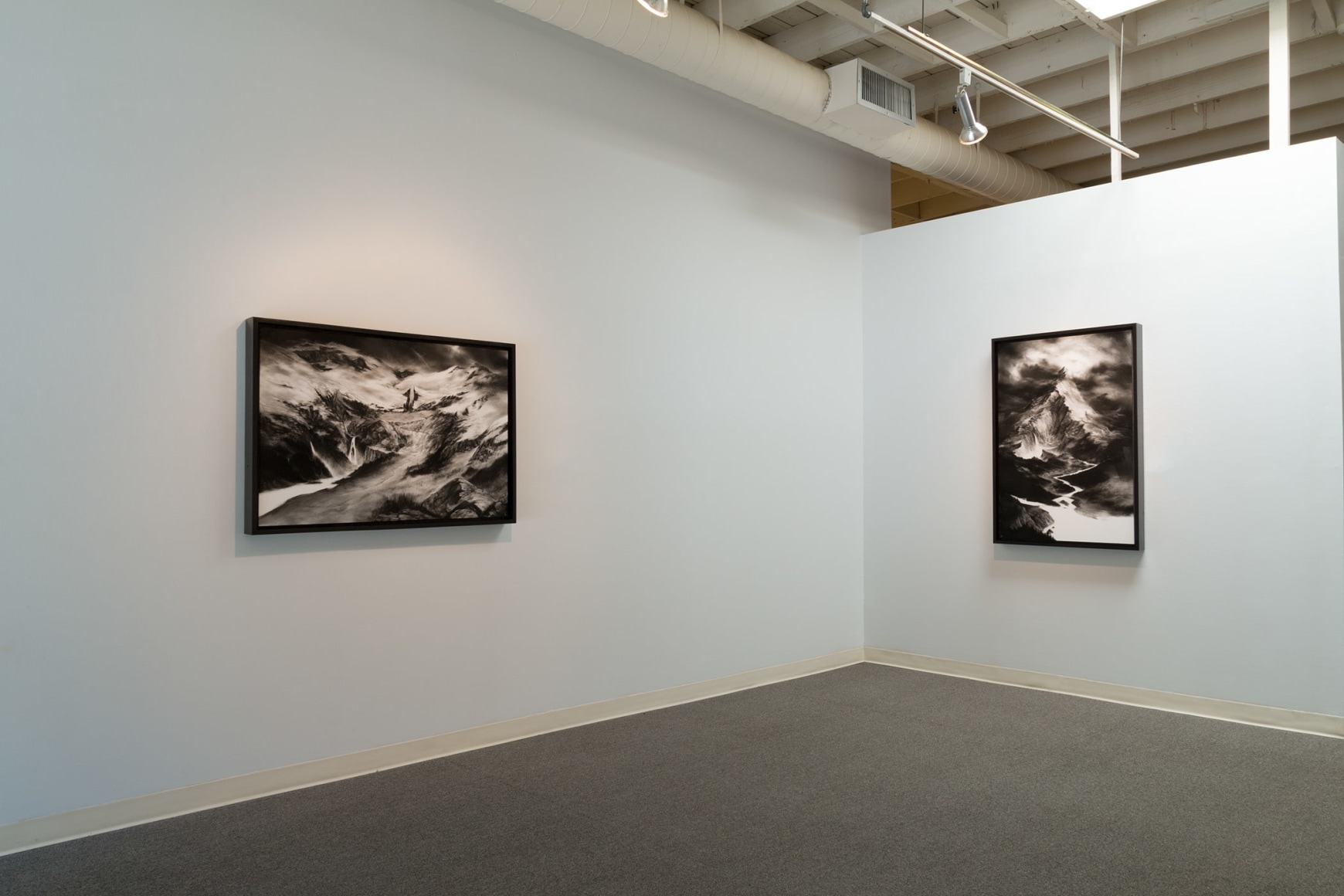 Abbott installation view May 2017