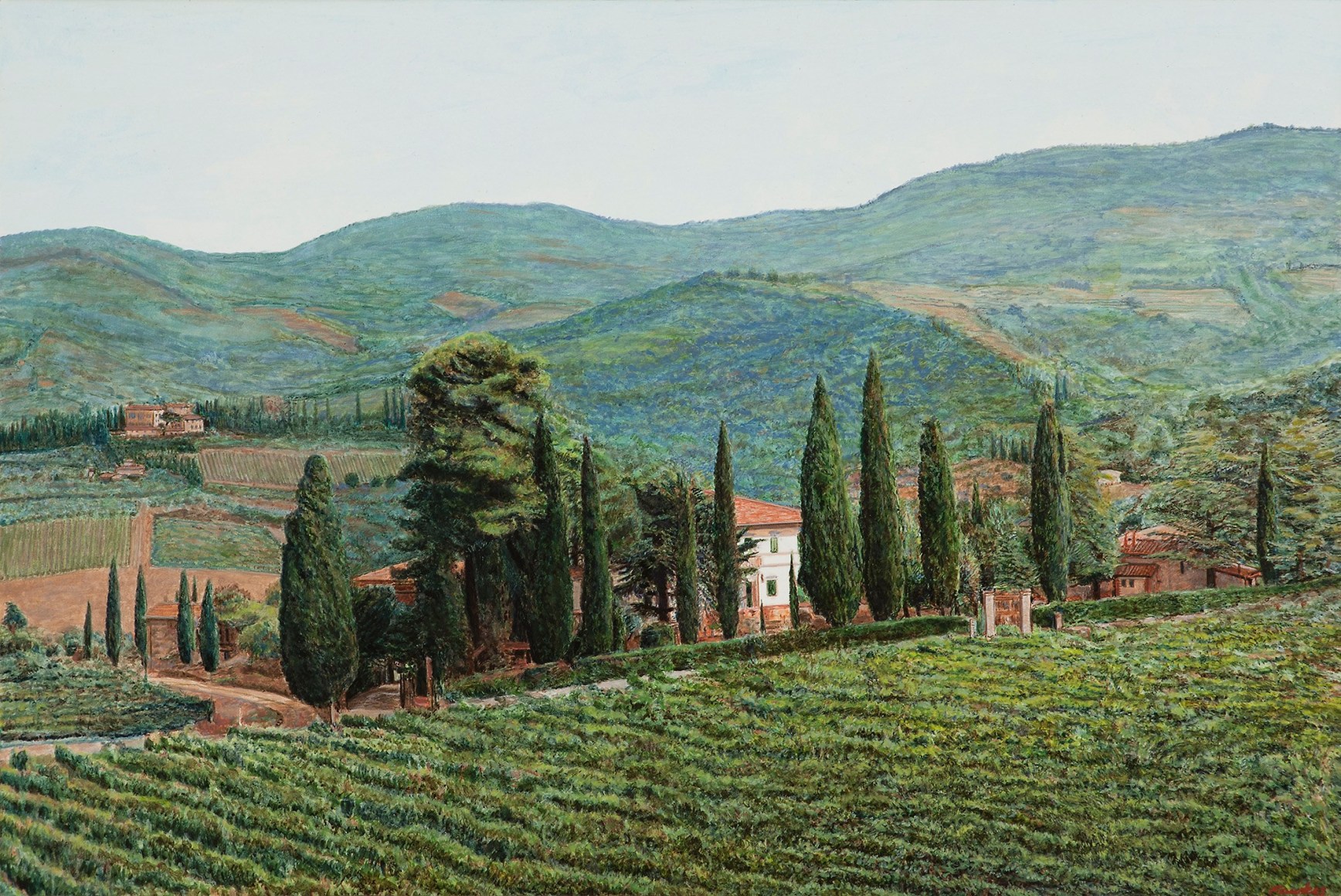 Fawkes - Near Castello di Gabbiano