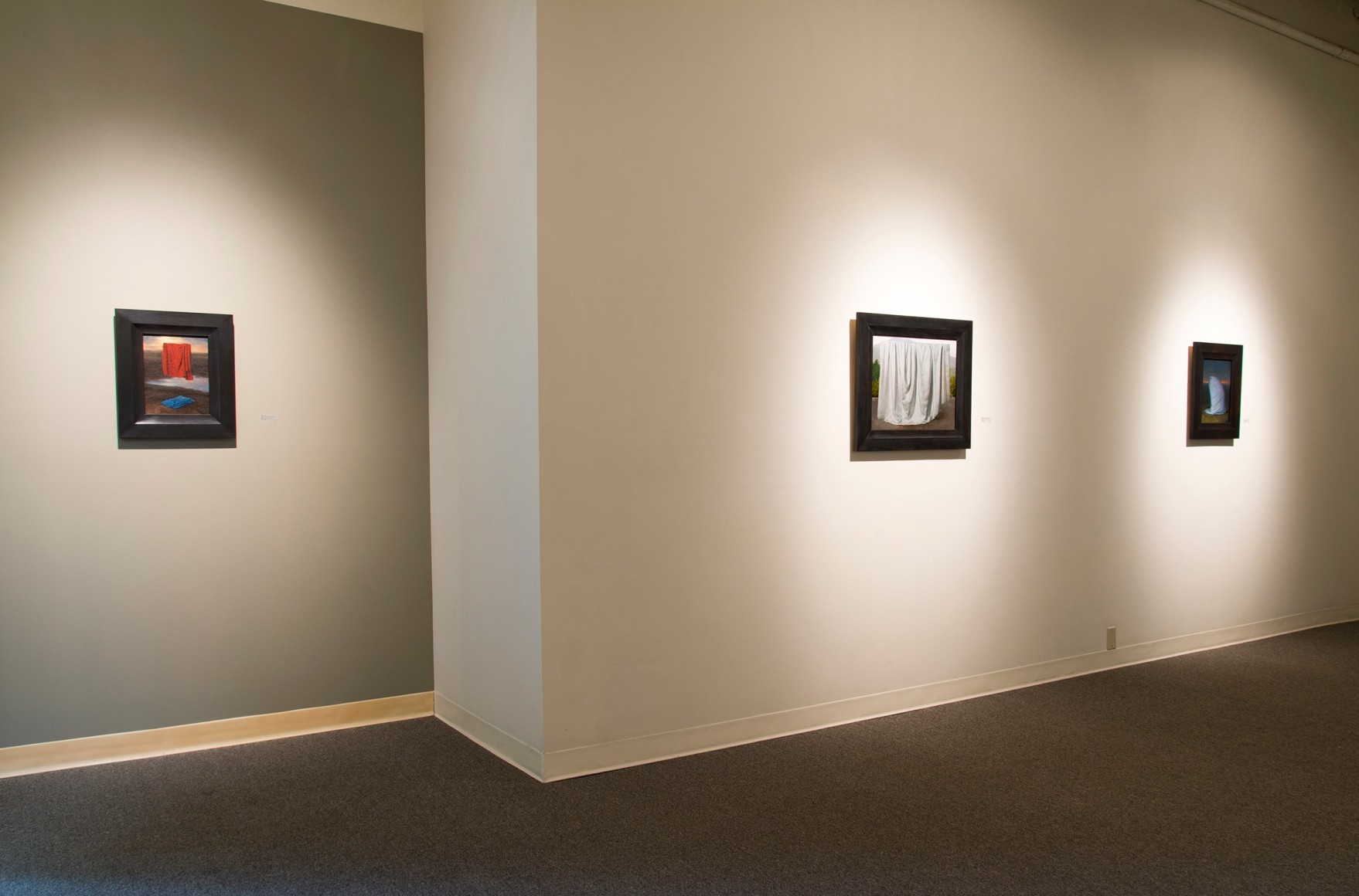 Sean Cain at Laura Russo Gallery June 2014