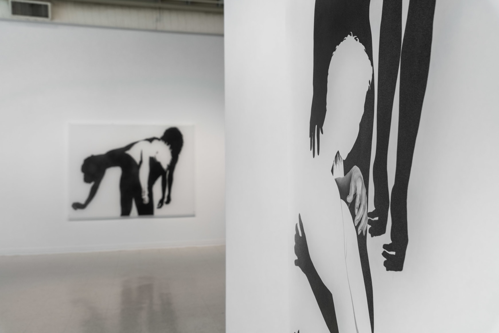 Samantha Wall - Beyond Bloodlines - Russo Lee Gallery - Installation View 020