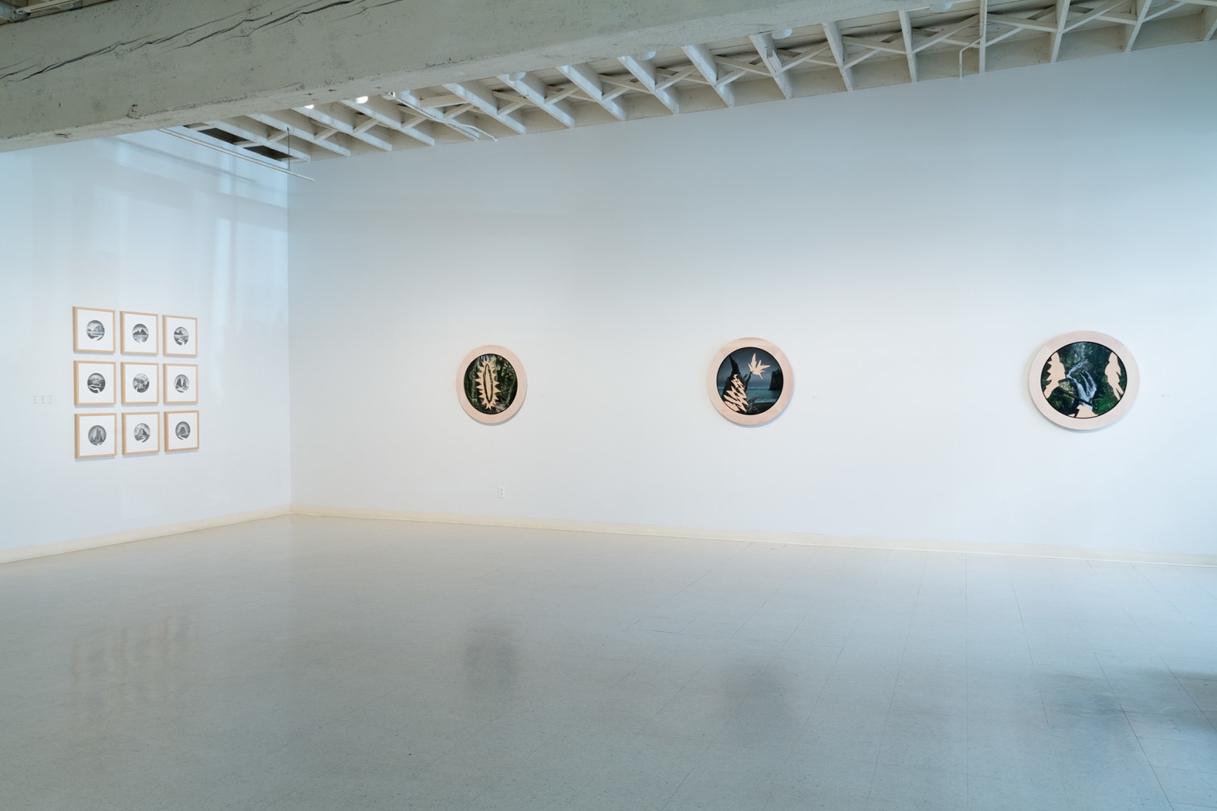 Miller - Installation View June 2017