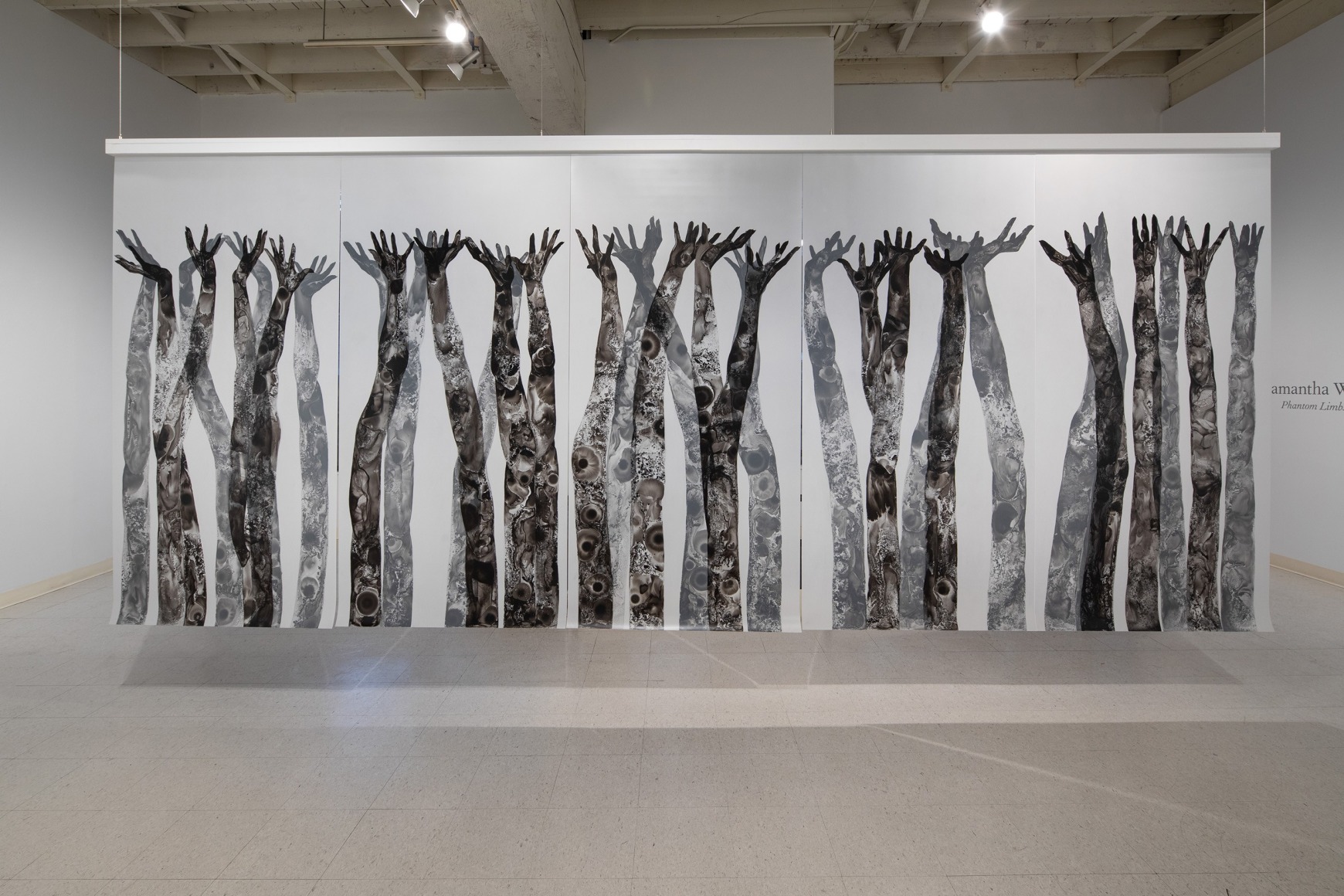 Samantha Wall | Phantom Limbs | Russo Lee Gallery | Installation View_010