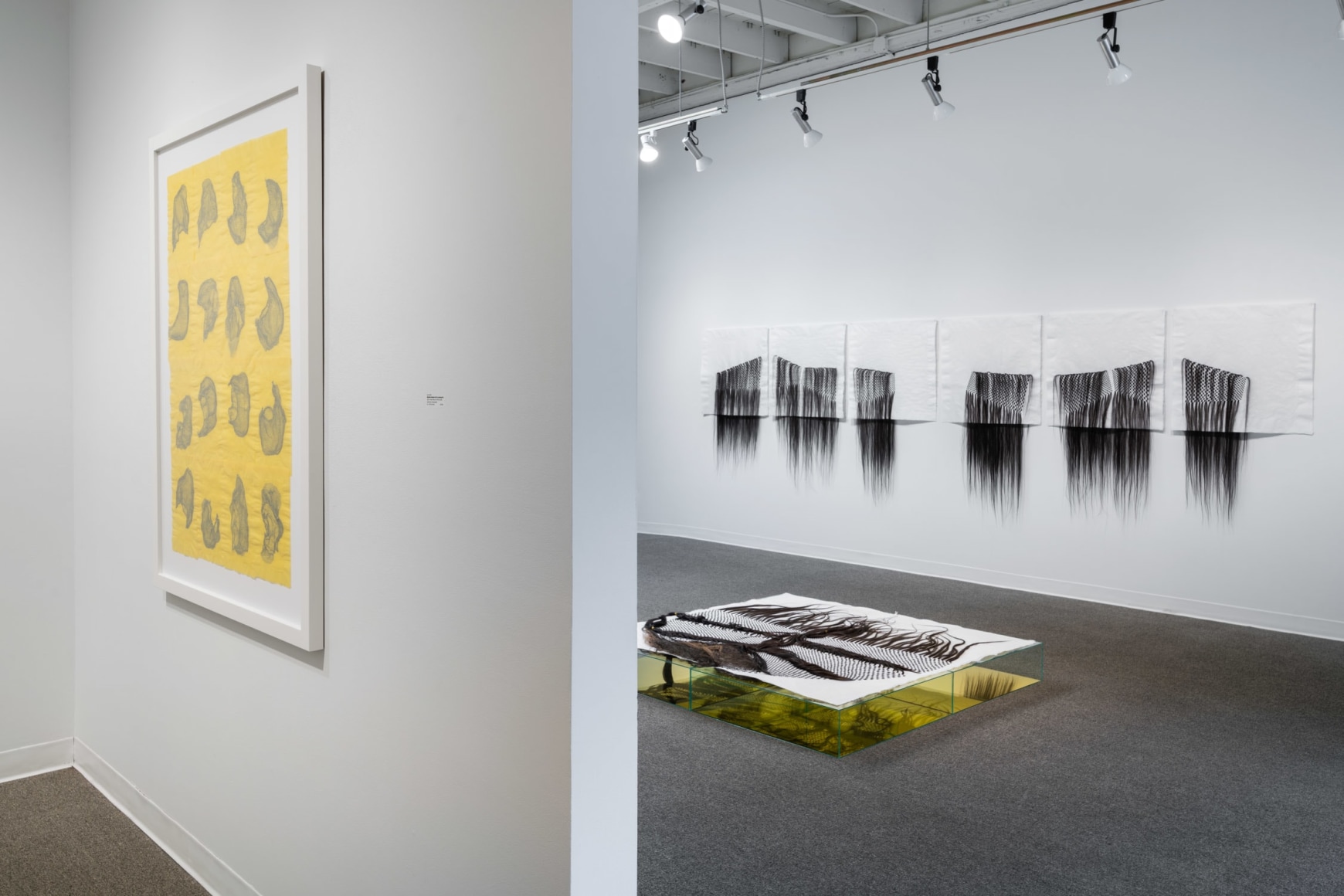 Lisa Jarrett - Heart Condition - Russo Lee Gallery - Installation View 011