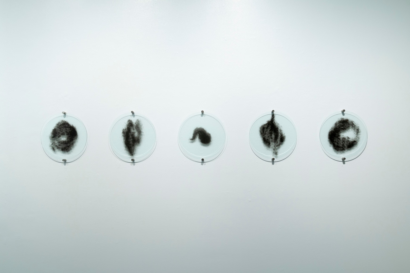 Lisa Jarrett | Imagining Home | Russo Lee Gallery | Installation View 05