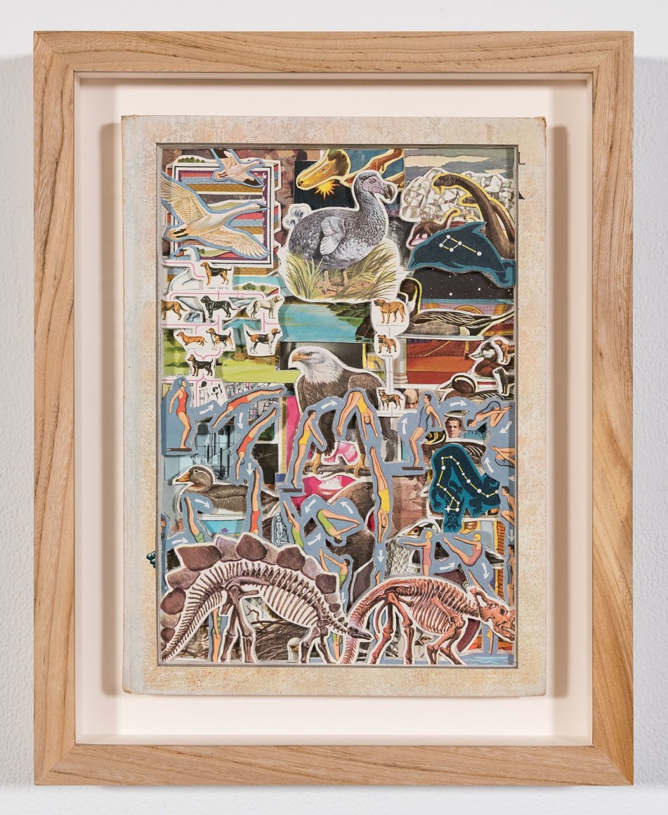 James Allen  Dinosaurs and Divers, 2021