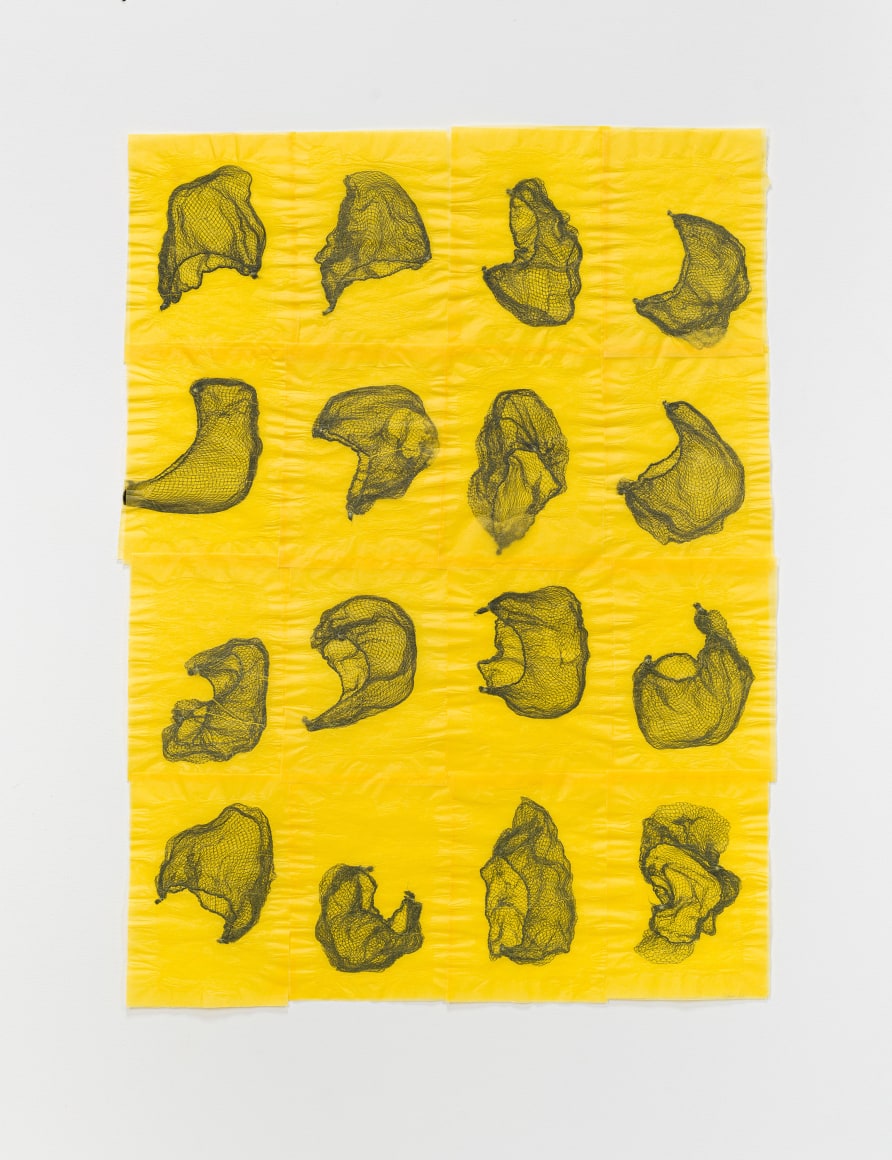 Lisa Jarrett  Migration Studies (No. 36, prototype III), 2022