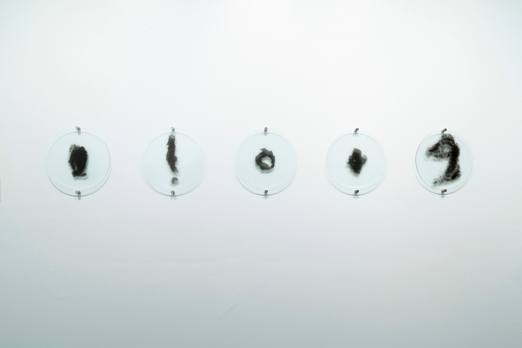 Lisa Jarrett | Imagining Home | Russo Lee Gallery | Installation View 03