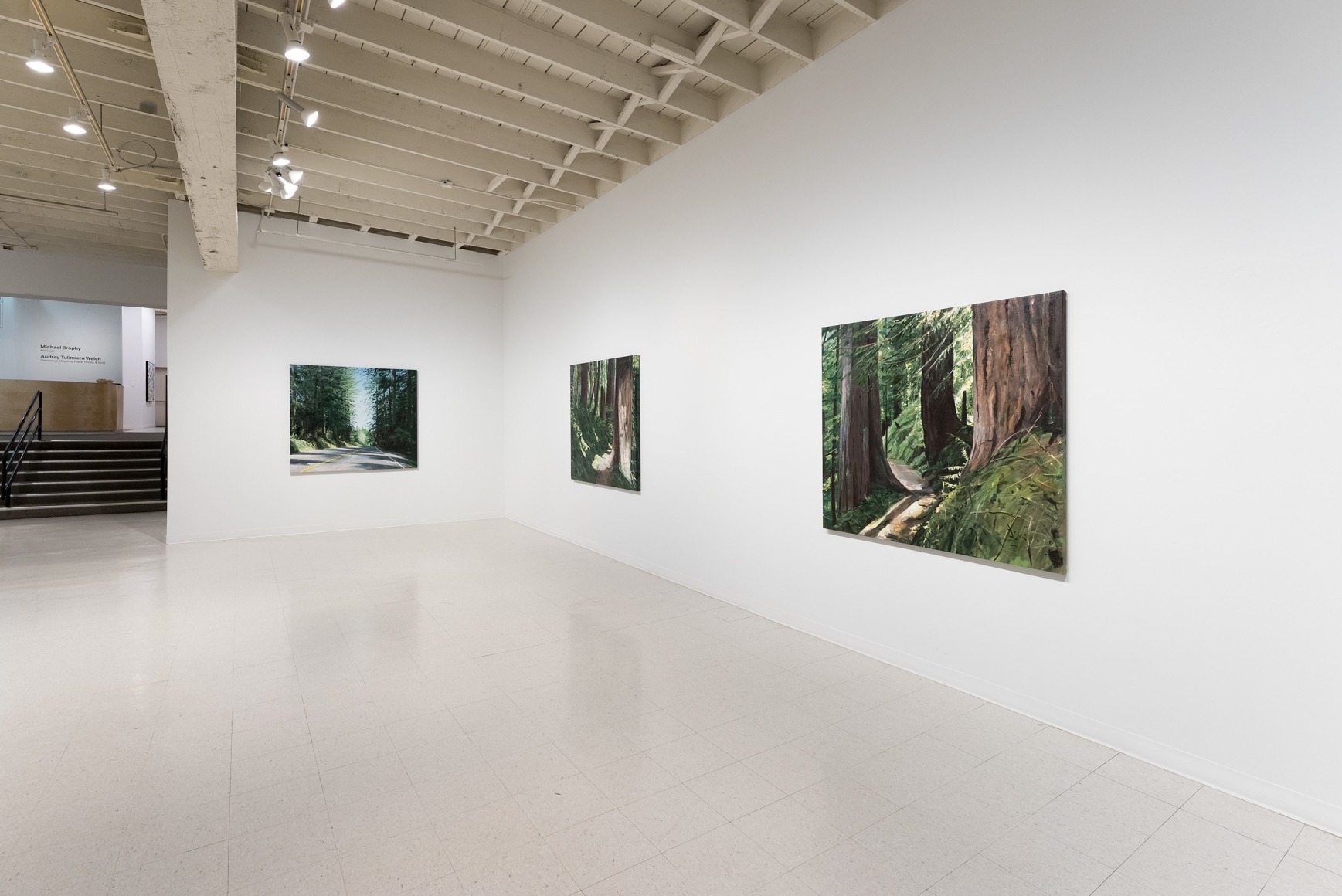 Michael Brophy | Passage | Installation View 02