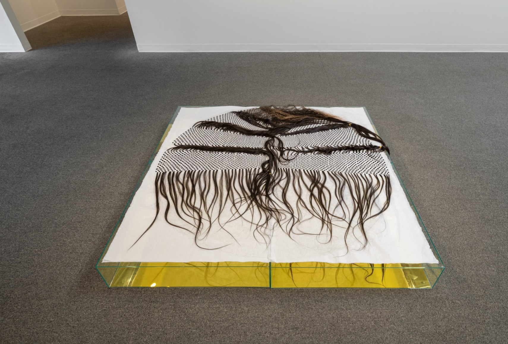 Lisa Jarrett - Heart Condition - Russo Lee Gallery - Installation View 018