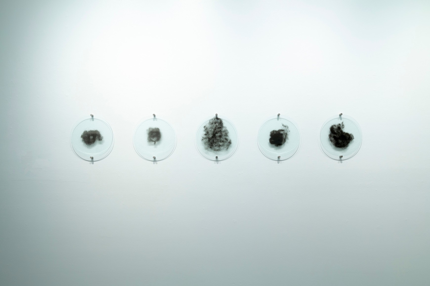 Lisa Jarrett | Imagining Home | Russo Lee Gallery | Installation View 06