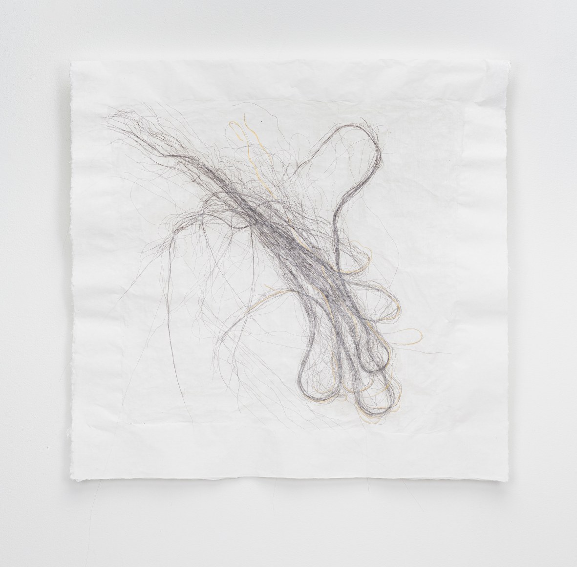 Lisa Jarrett  Migration Studies (No. 31, A war in my heart/Hide the honey II), 2022