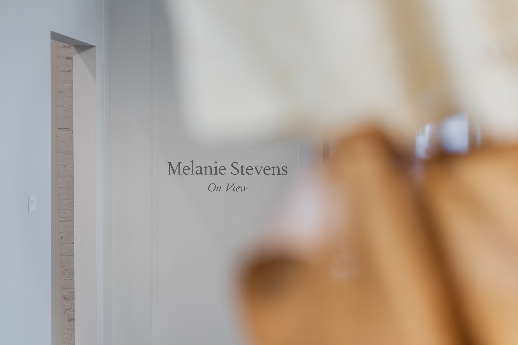 Melanie Stevens | If You're Watching This It's Too Late | Russo Lee Gallery | Installation View 06