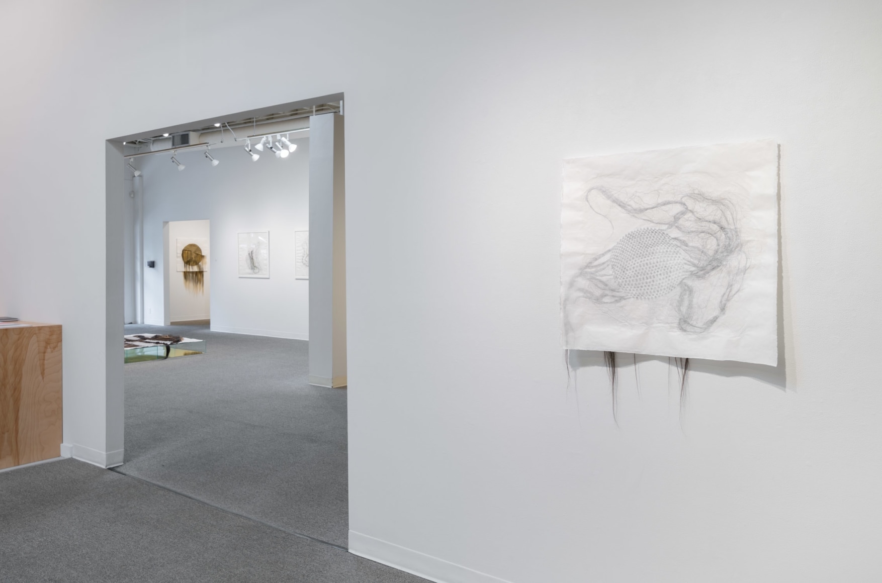 Lisa Jarrett - Heart Condition - Russo Lee Gallery - Installation View 04