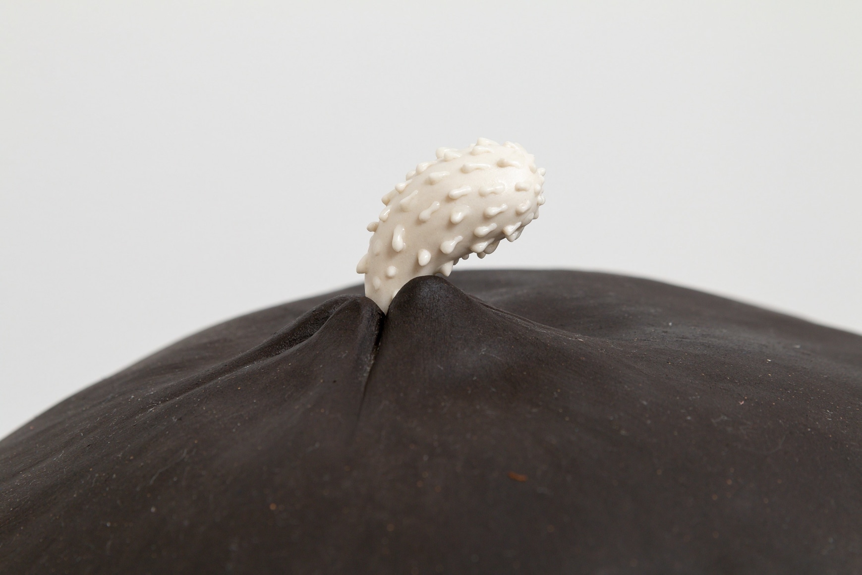 Vivas - i have no choice no. 18 (detail)