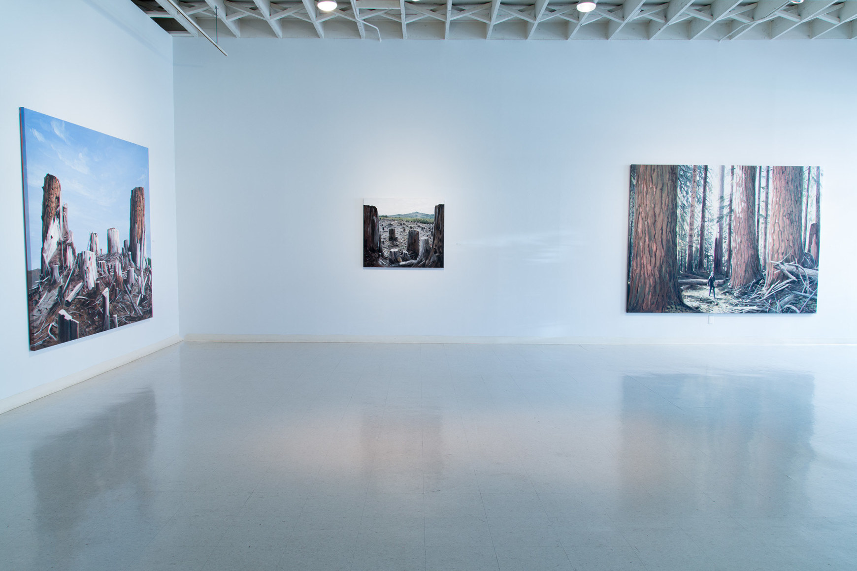 Michael Brophy Installation June 2016