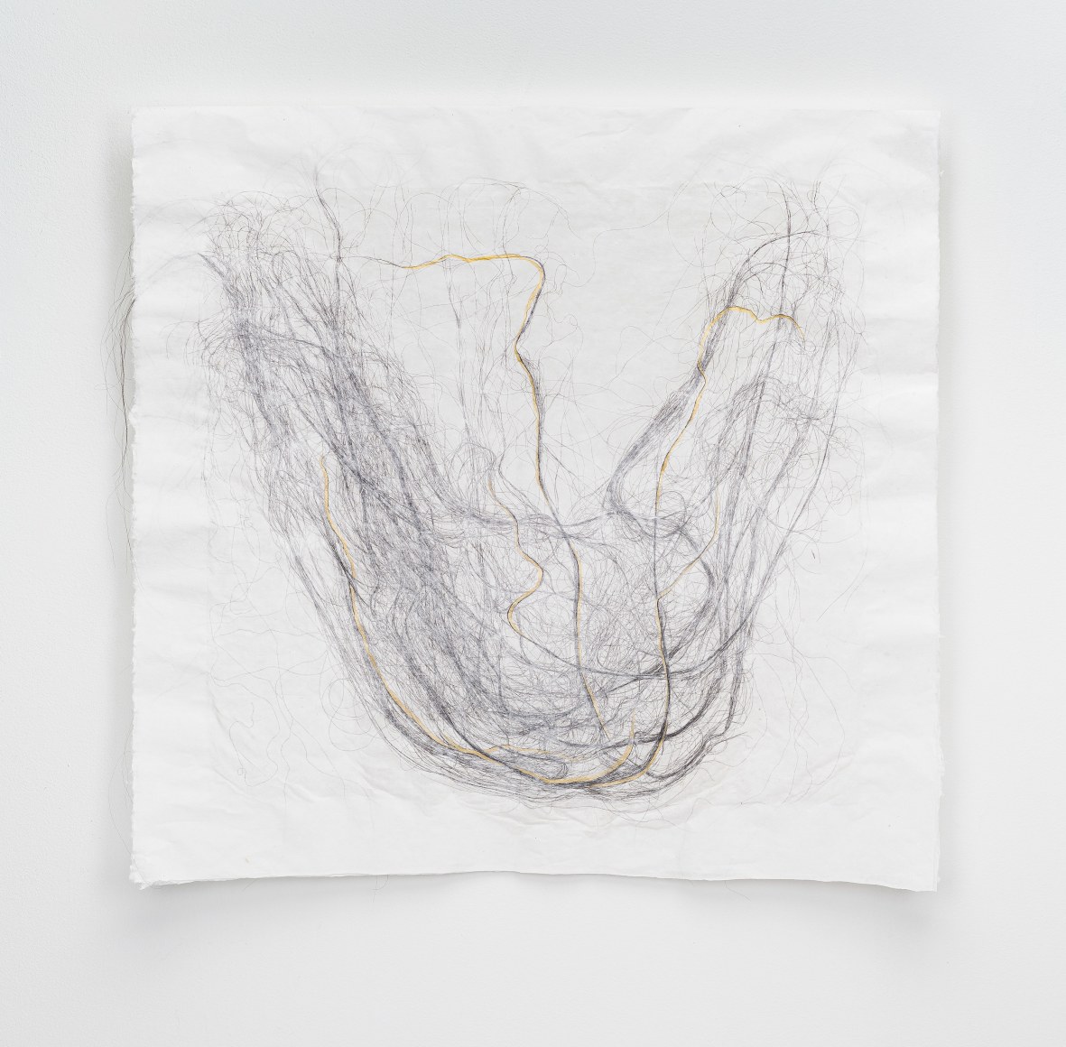 Lisa Jarrett  Migration Studies (No.30, A war in my heart/Hide the honey I), 2022