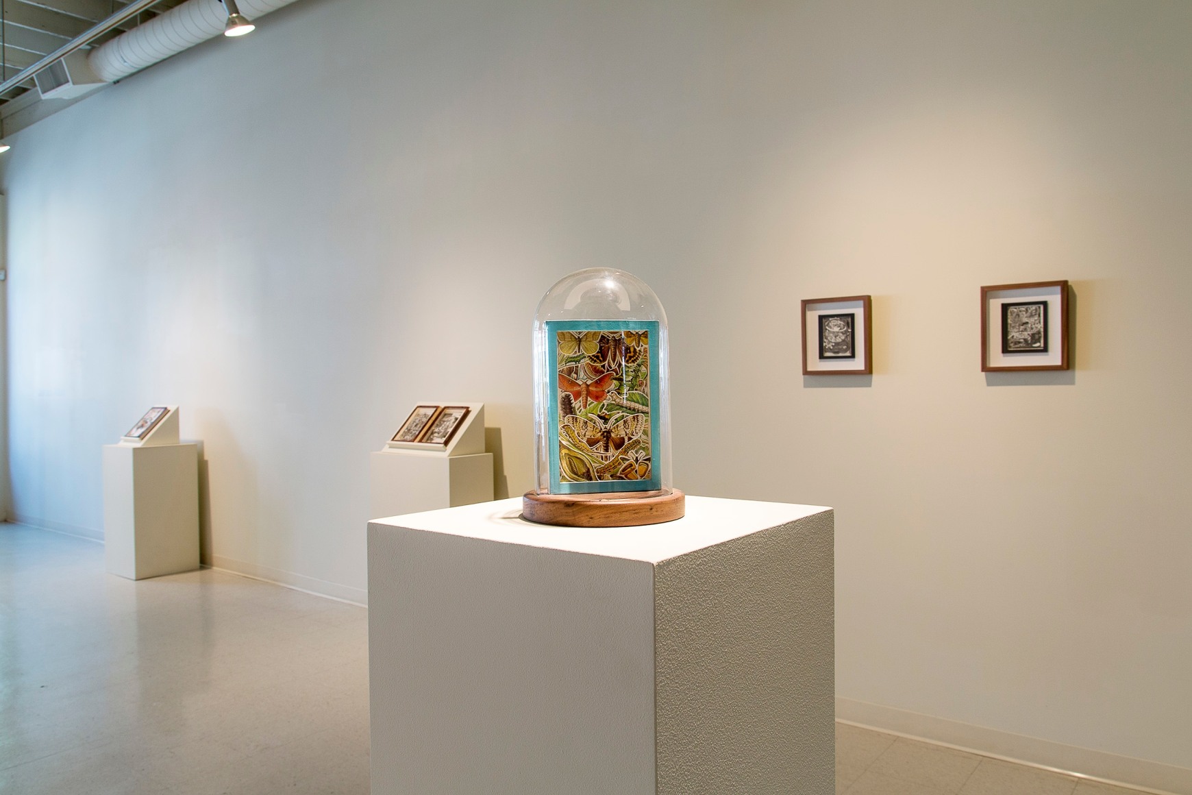 James Allen at Laura Russo Gallery October 2015