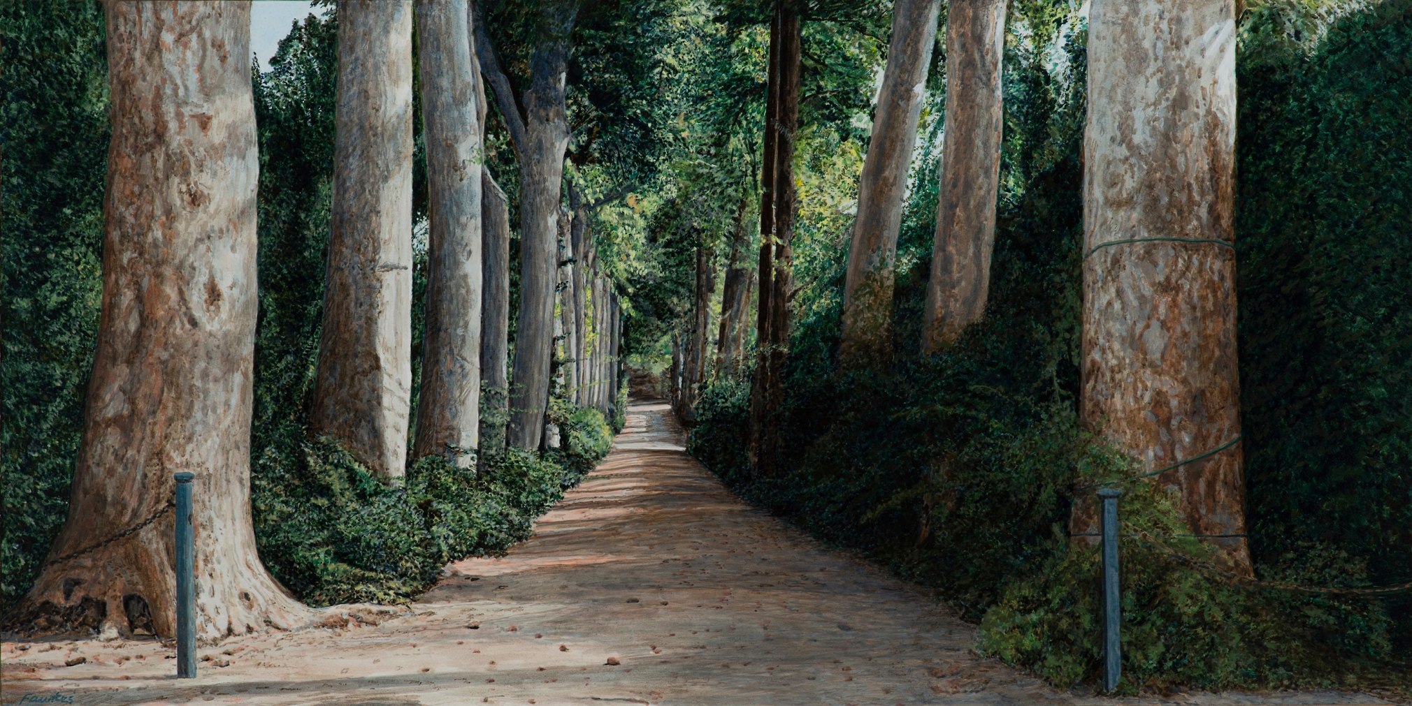 Fawkes - Vialetto - Boboli